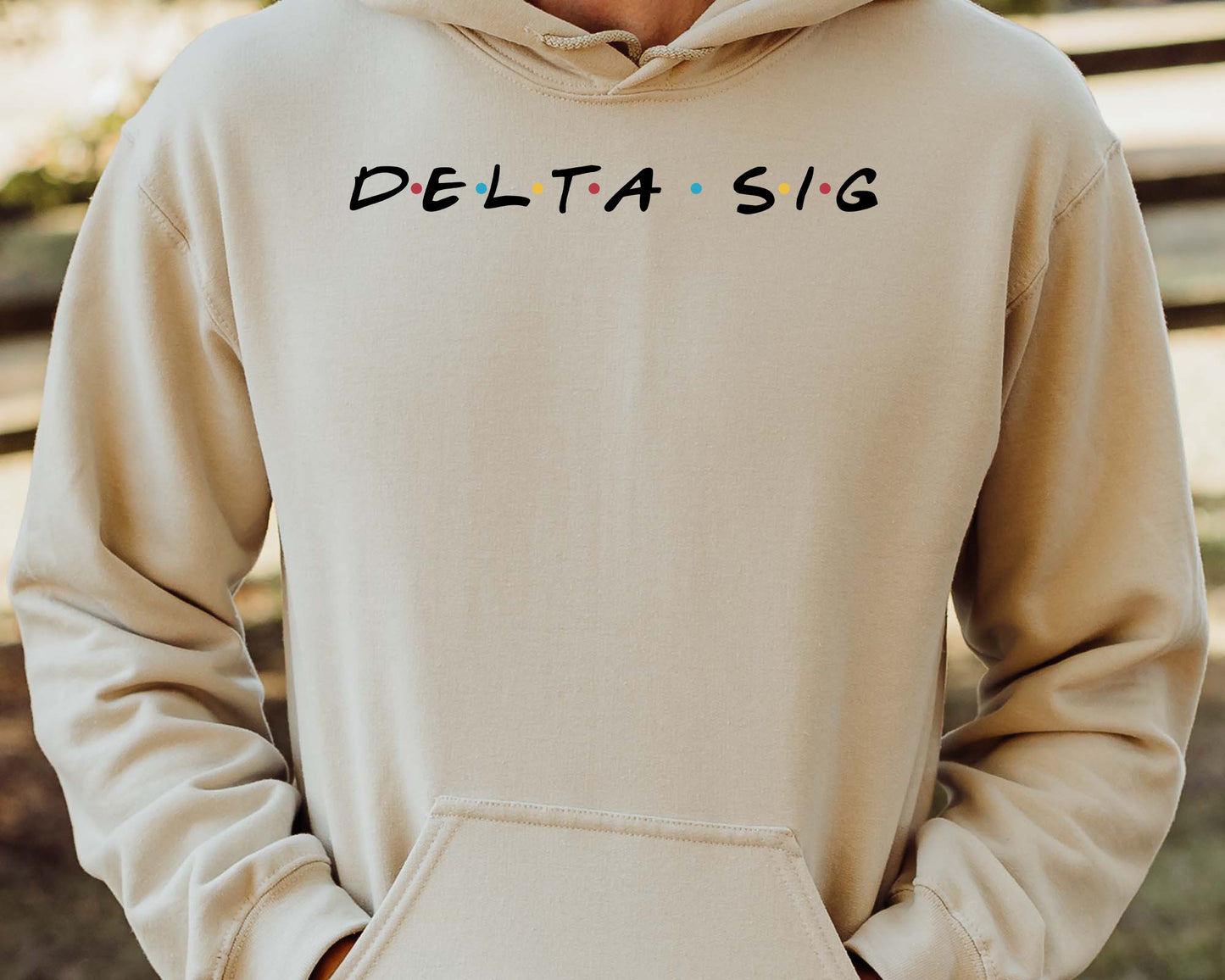 Delta Sigma Phi Greek Friends Fraternity Hoodie _ 30679g