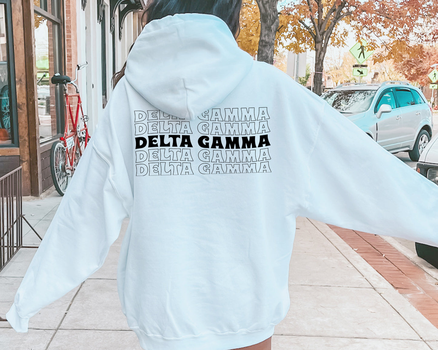 Delta Gamma Wavy Letters Sorority Hoodie _ 33409g