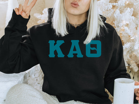 Kappa Alpha Theta Back to the Basics Sorority Hoodie _ 637g