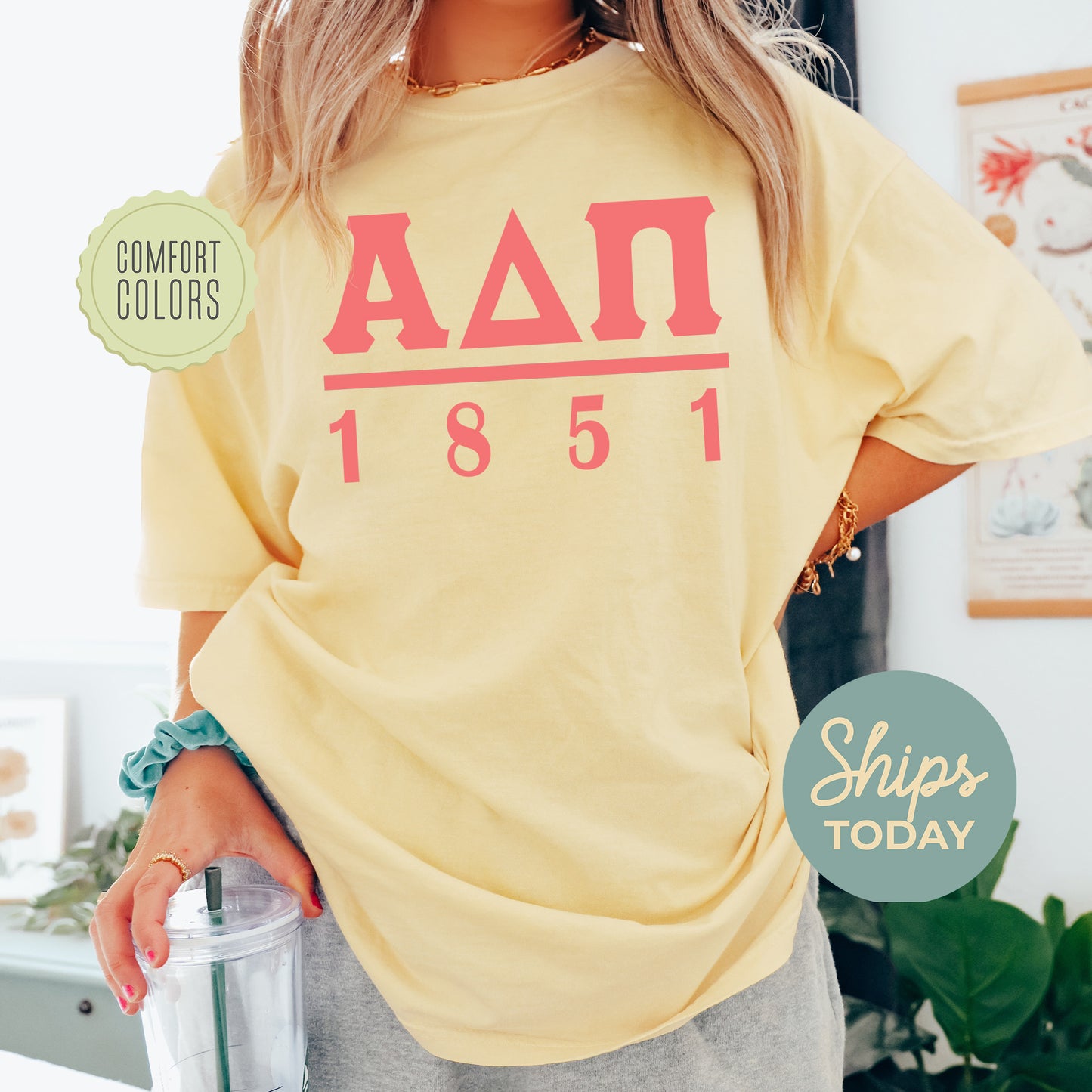 Alpha Delta Pi Monochromatic Comfort Colors Sorority T-shirt _ 30844g