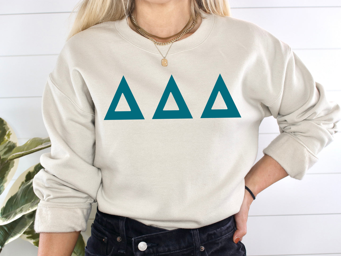 Delta Delta Delta Back to the Basics Sorority Sweatshirt _ 632g