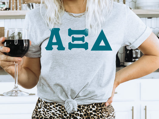 Alpha Xi Delta Back to the Basics Sorority T-shirt _ 630g