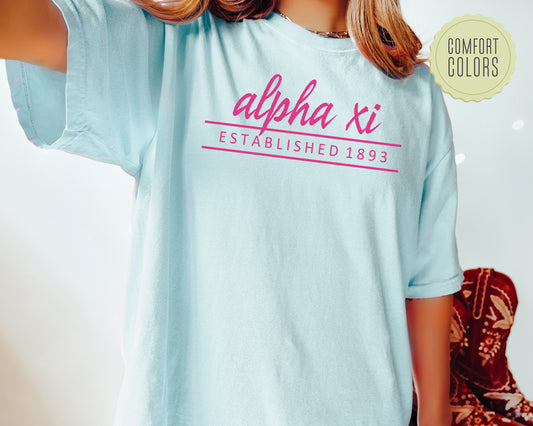 Alpha Xi Delta All Pink Comfort Colors Sorority T-shirt _ 760g