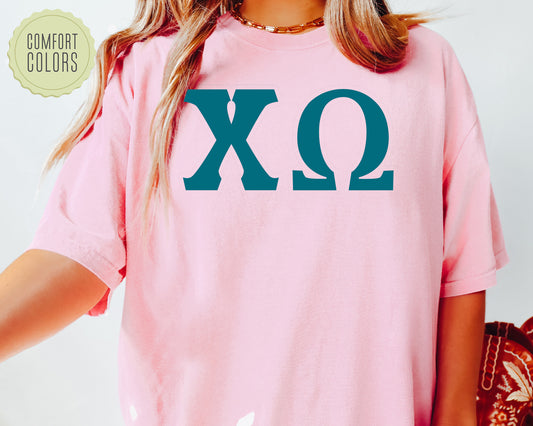 Chi Omega Back to the Basics Comfort Colors Sorority T-shirt _ 631g