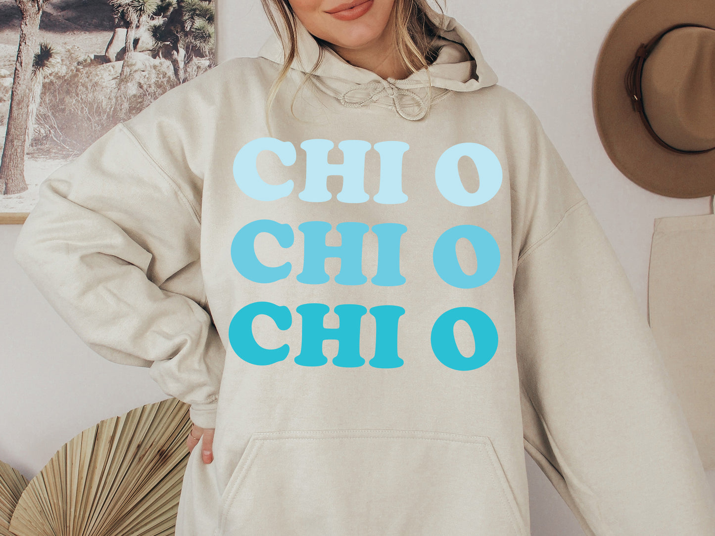 Chi Omega Touch of Blue Sorority Hoodie _ 2586g