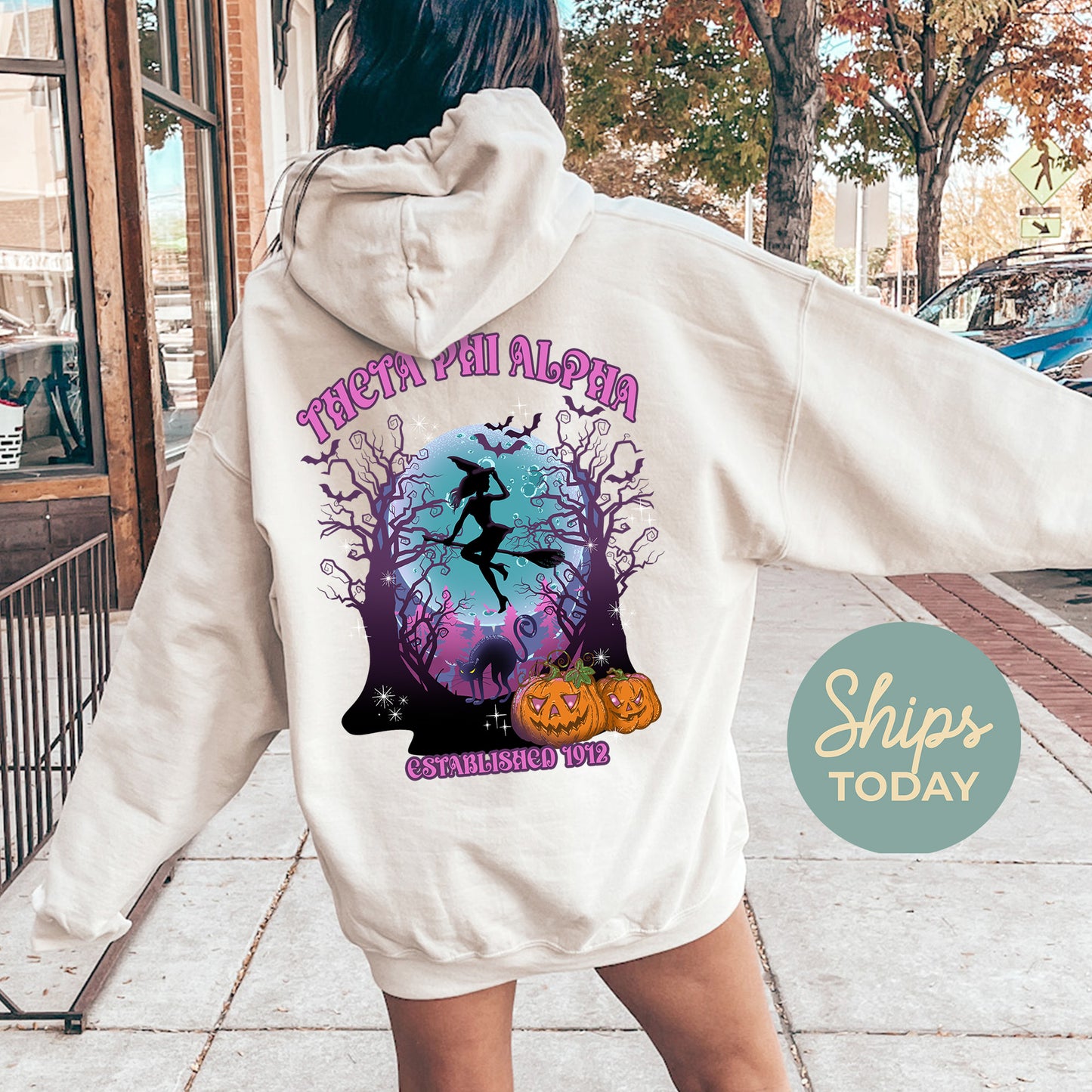 Zeta Tau Alpha Halloween Witch Sorority Hoodie _ 36251g