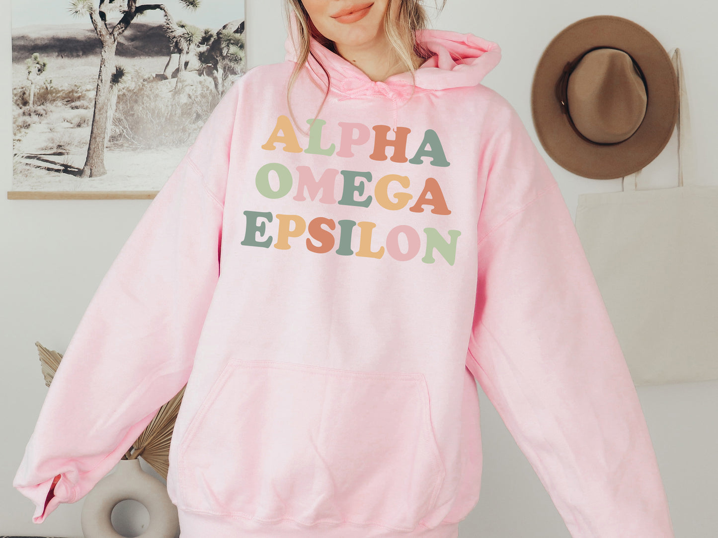 Alpha Omega Epsilon Bright and Colorful Sorority Hoodie _ 3468g
