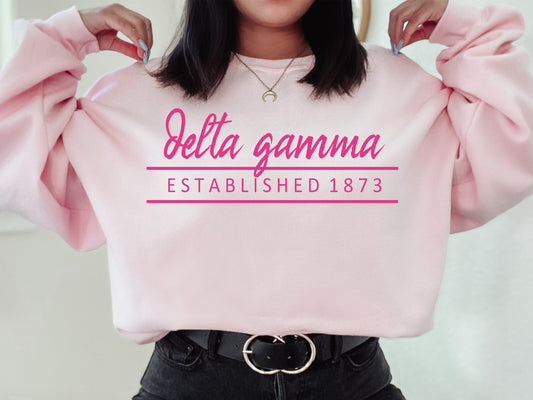 Delta Gamma All Pink Sorority Sweatshirt _ 763g