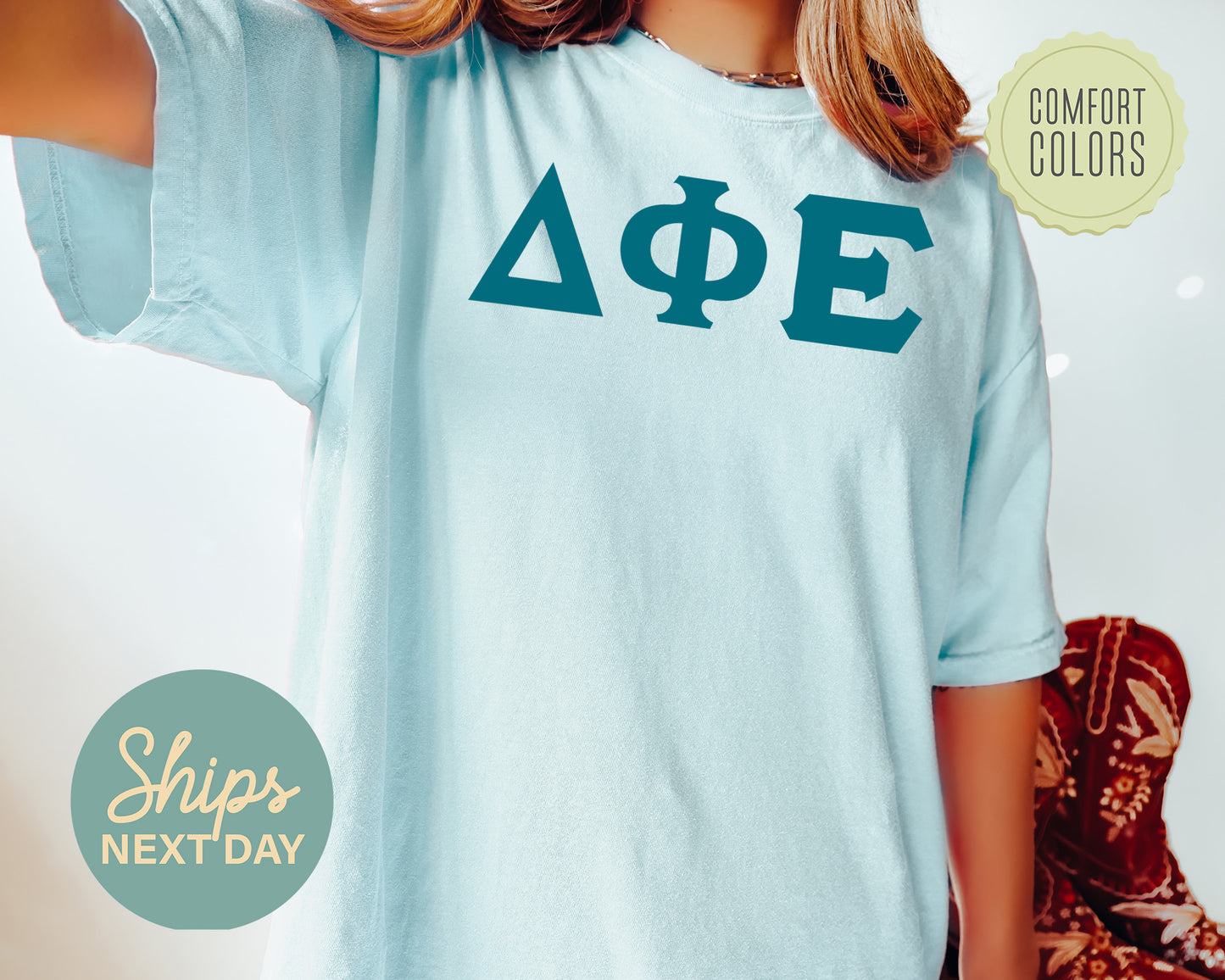 Delta Phi Epsilon Back to the Basics Comfort Colors Sorority T-shirt _ 634g