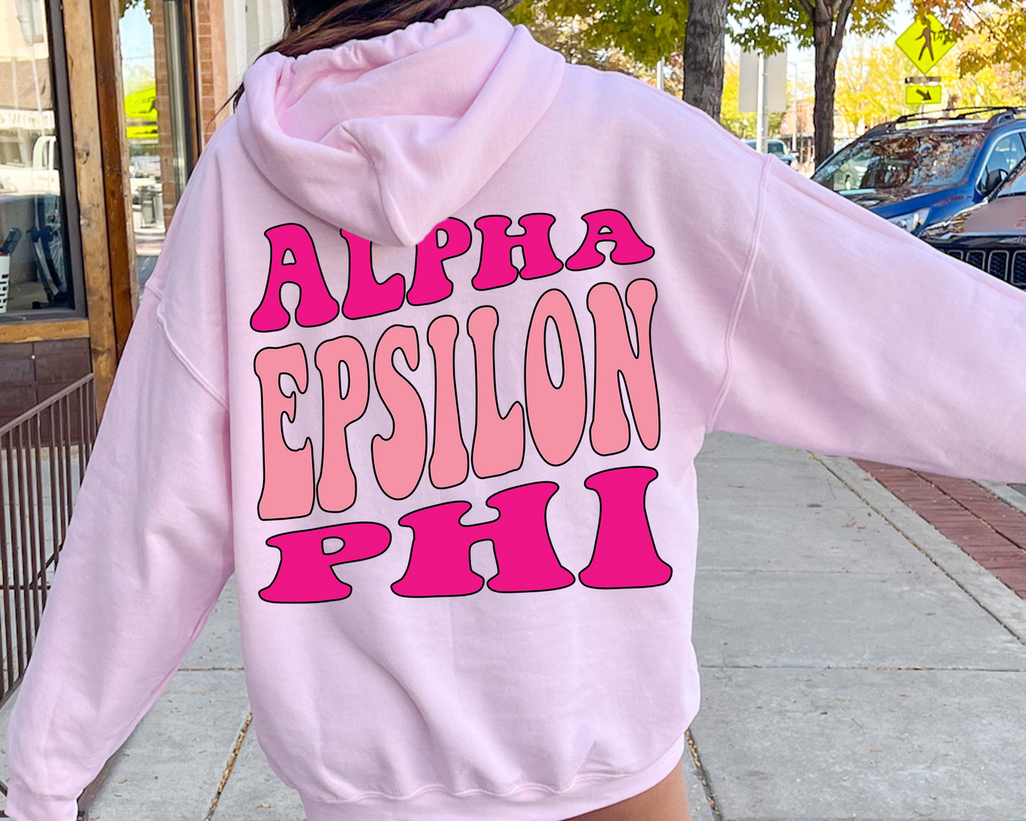 Alpha Epsilon Phi Shades of Pink Sorority Hoodie _ 32974g