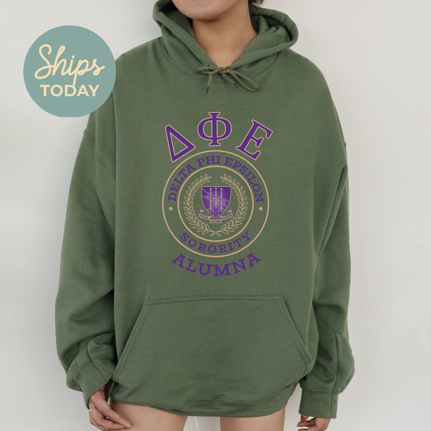 Delta Phi Epsilon Alumna Vintage Sorority Hoodie _ 31021g