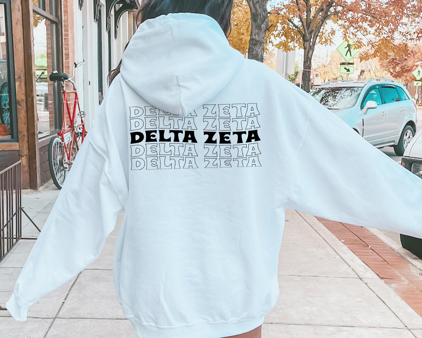 Delta Zeta Wavy Letters Sorority Hoodie _ 33411g