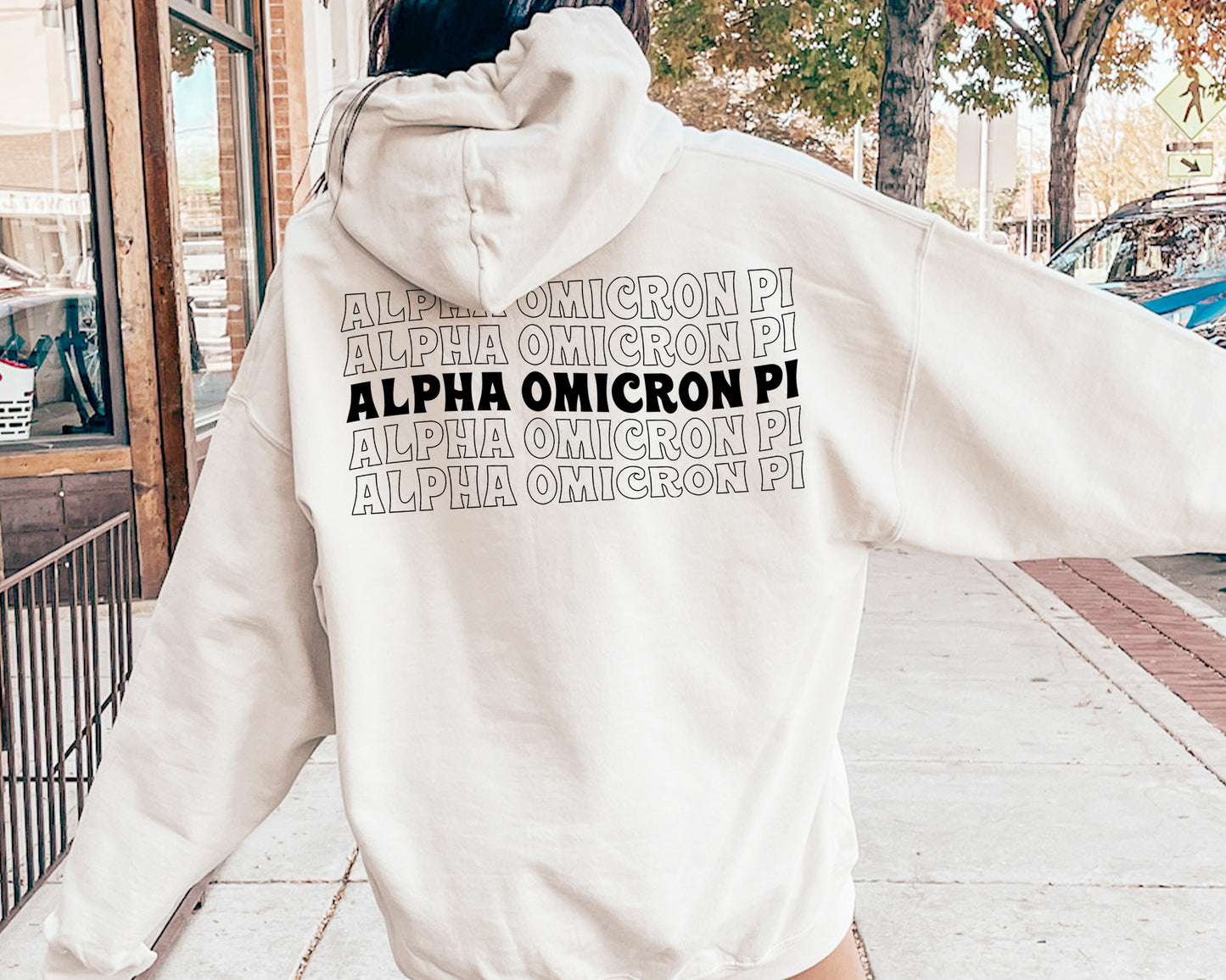 Alpha Omicron Pi Wavy Letters Sorority Hoodie _ 33402g
