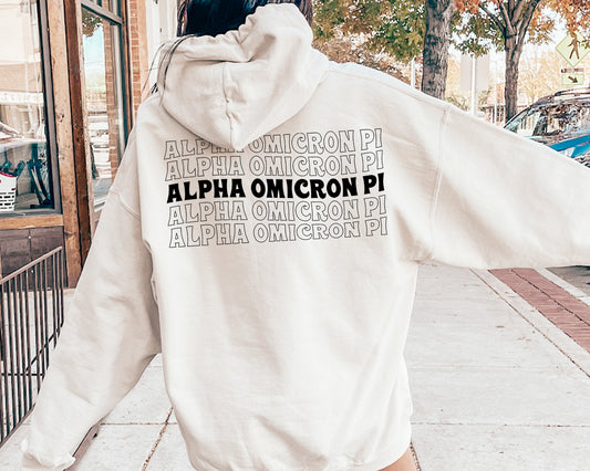 Alpha Omicron Pi Wavy Letters Sorority Hoodie _ 33402g