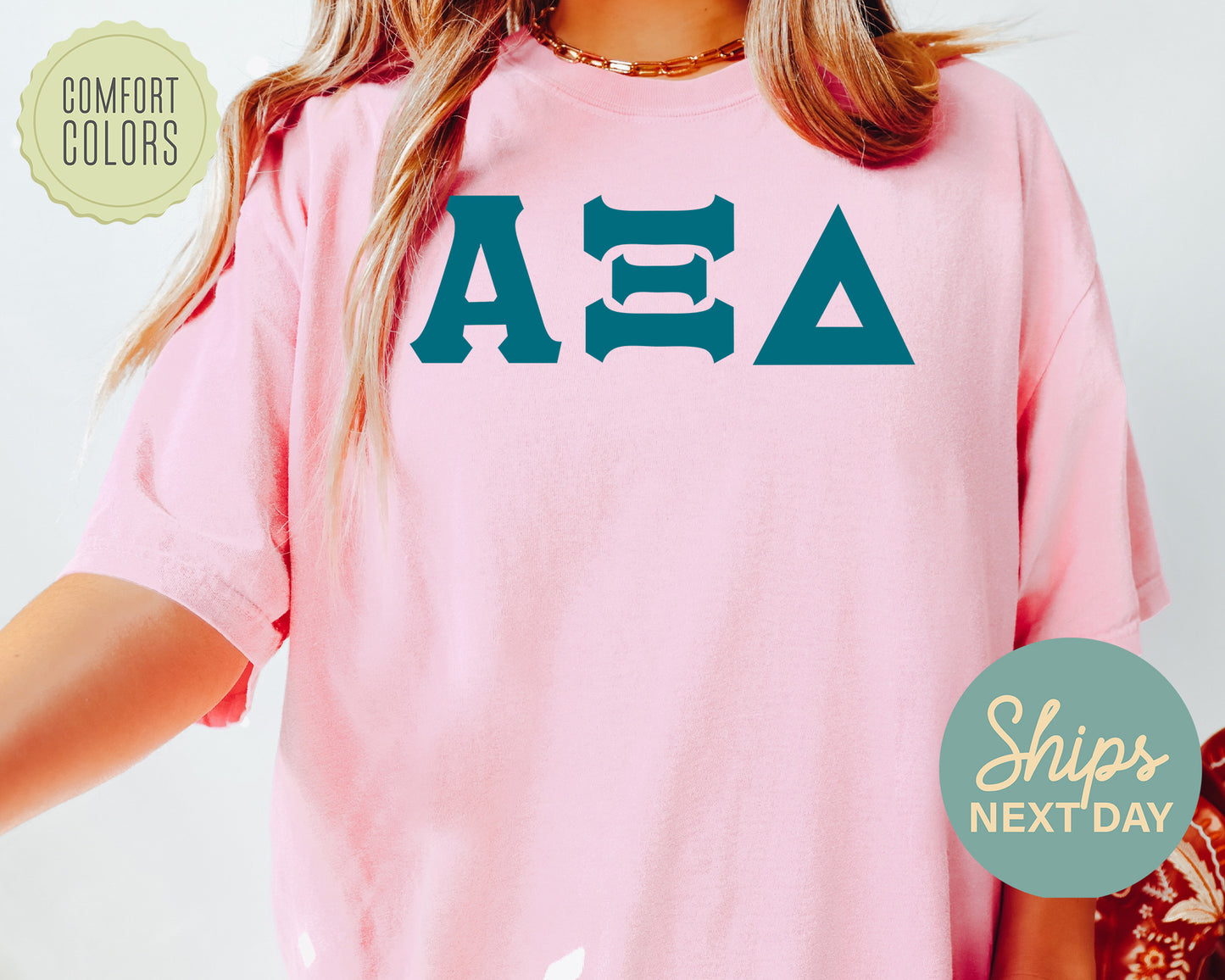 Alpha Xi Delta Back to the Basics Comfort Colors Sorority T-shirt _ 630g