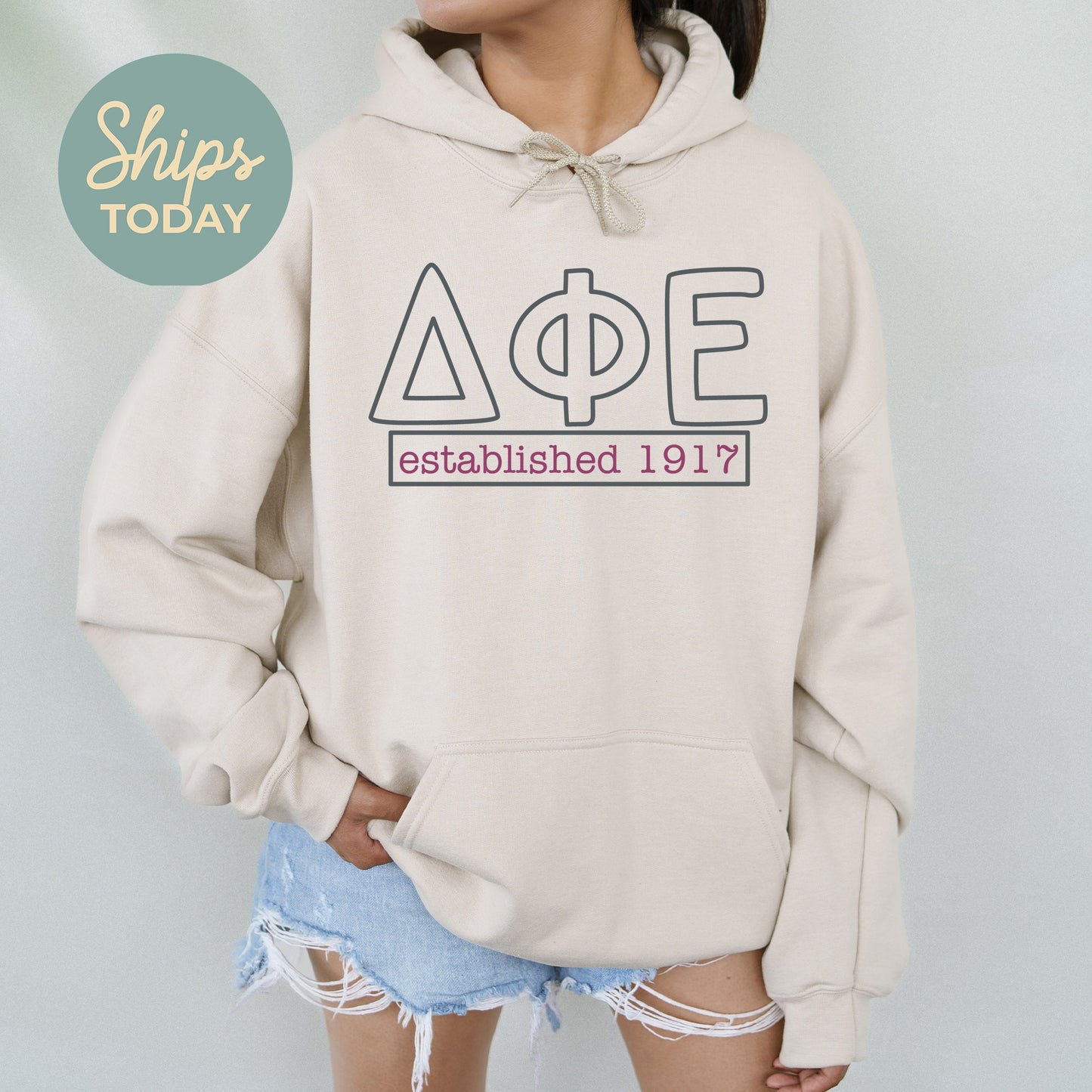 Delta Phi Epsilon Simply Greek Sorority Hoodie _ 39348g