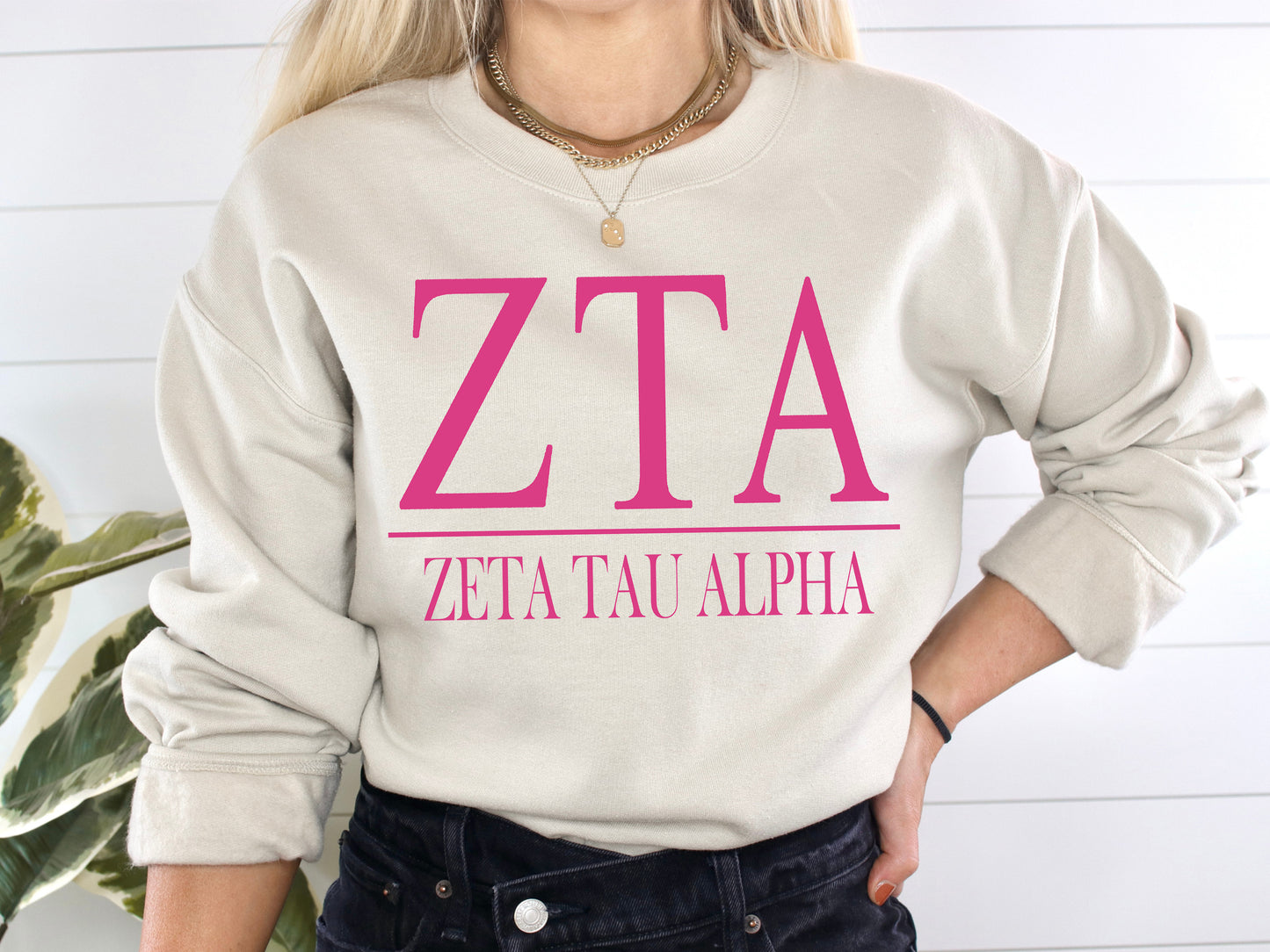 Zeta Tau Alpha Loud Letters Sorority Sweatshirt _ 491g