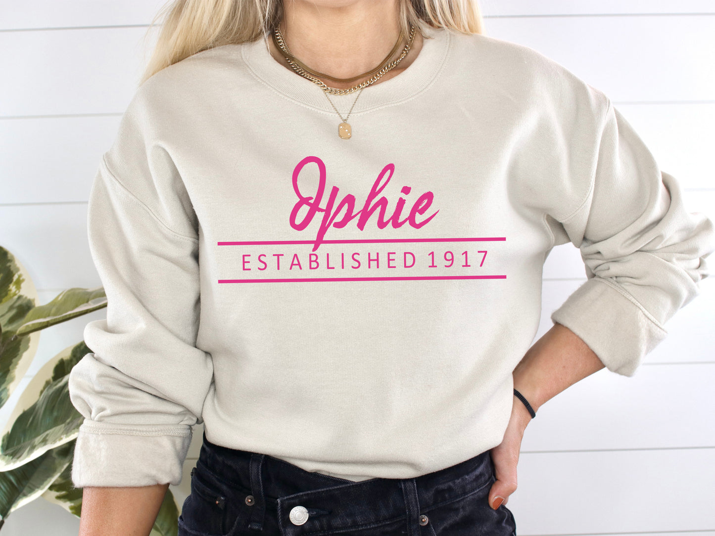 Delta Phi Epsilon All Pink Sorority Sweatshirt _ 764g