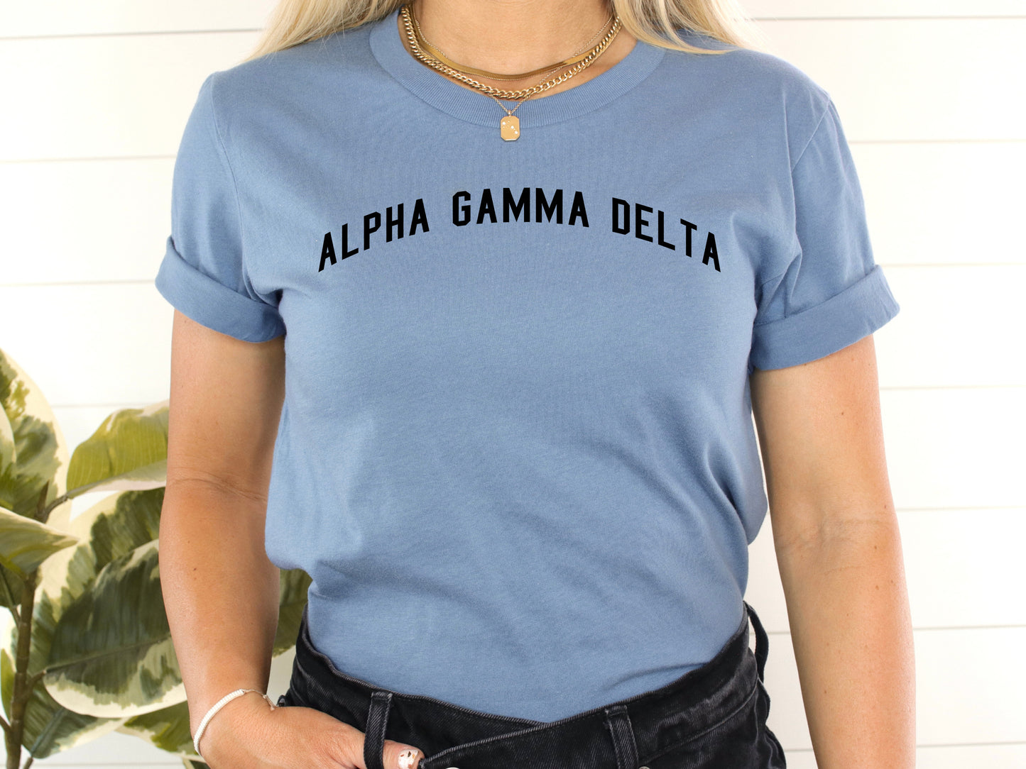 Alpha Gamma Delta Just Bold Sorority T-shirt _ 2372g