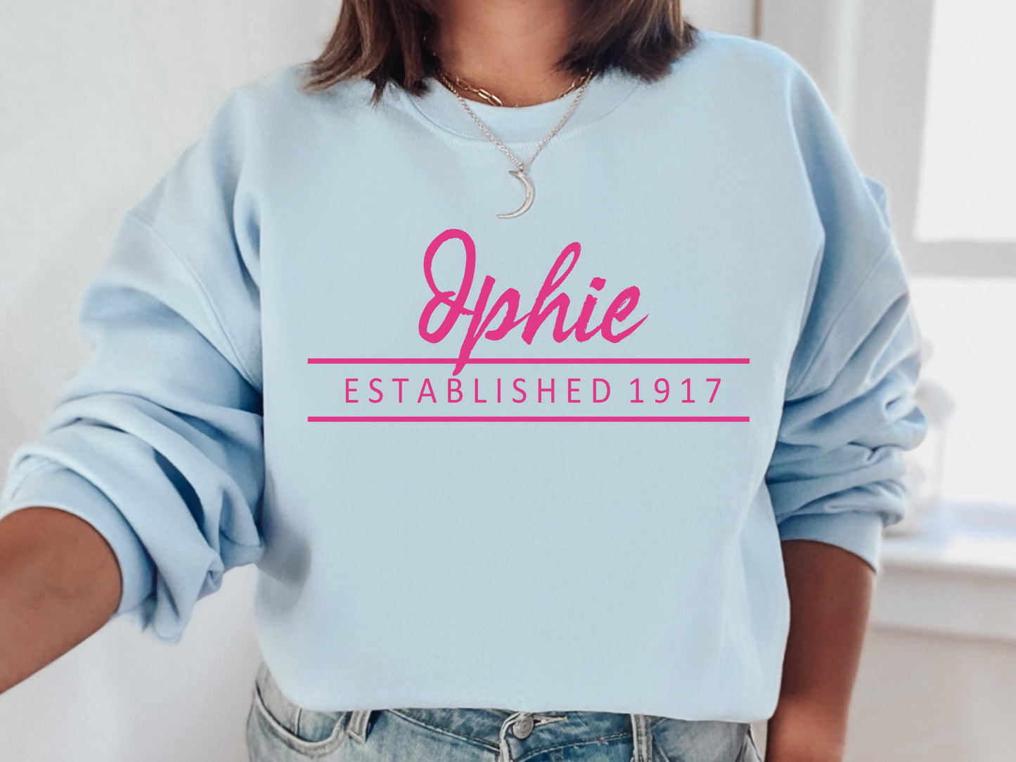 Delta Phi Epsilon All Pink Sorority Sweatshirt _ 764g