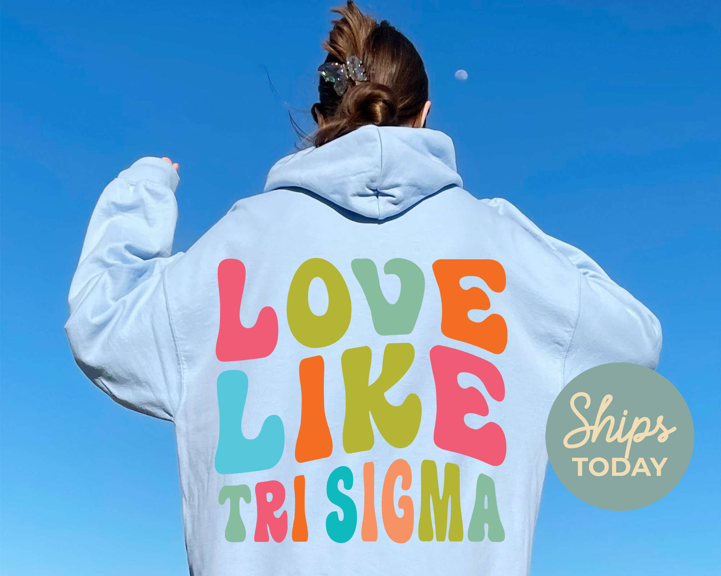 Sigma Sigma Sigma Blissful and Vibrant Sorority Hoodie _ 33177g