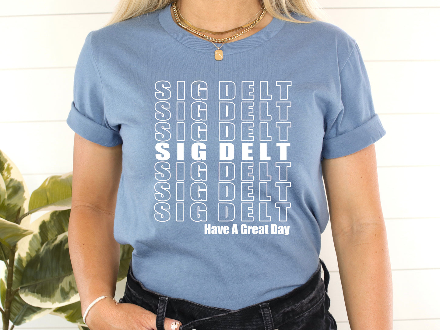 Sigma Delta Tau Have a Great Day Sorority T-shirt _ 2129g