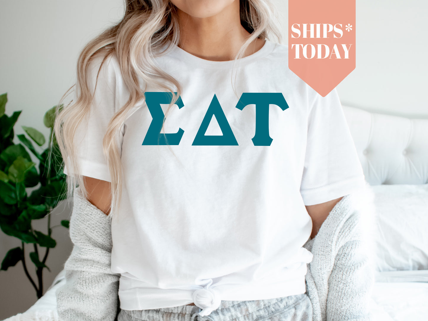 Sigma Delta Tau Back to the Basics Sorority T-shirt _ 643g