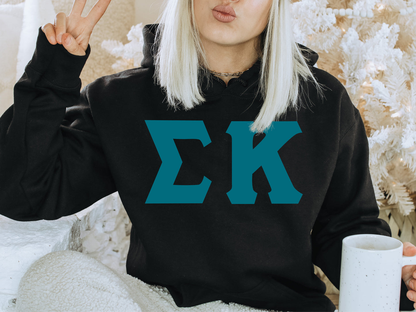 Sigma Kappa Back to the Basics Sorority Hoodie _ 644g