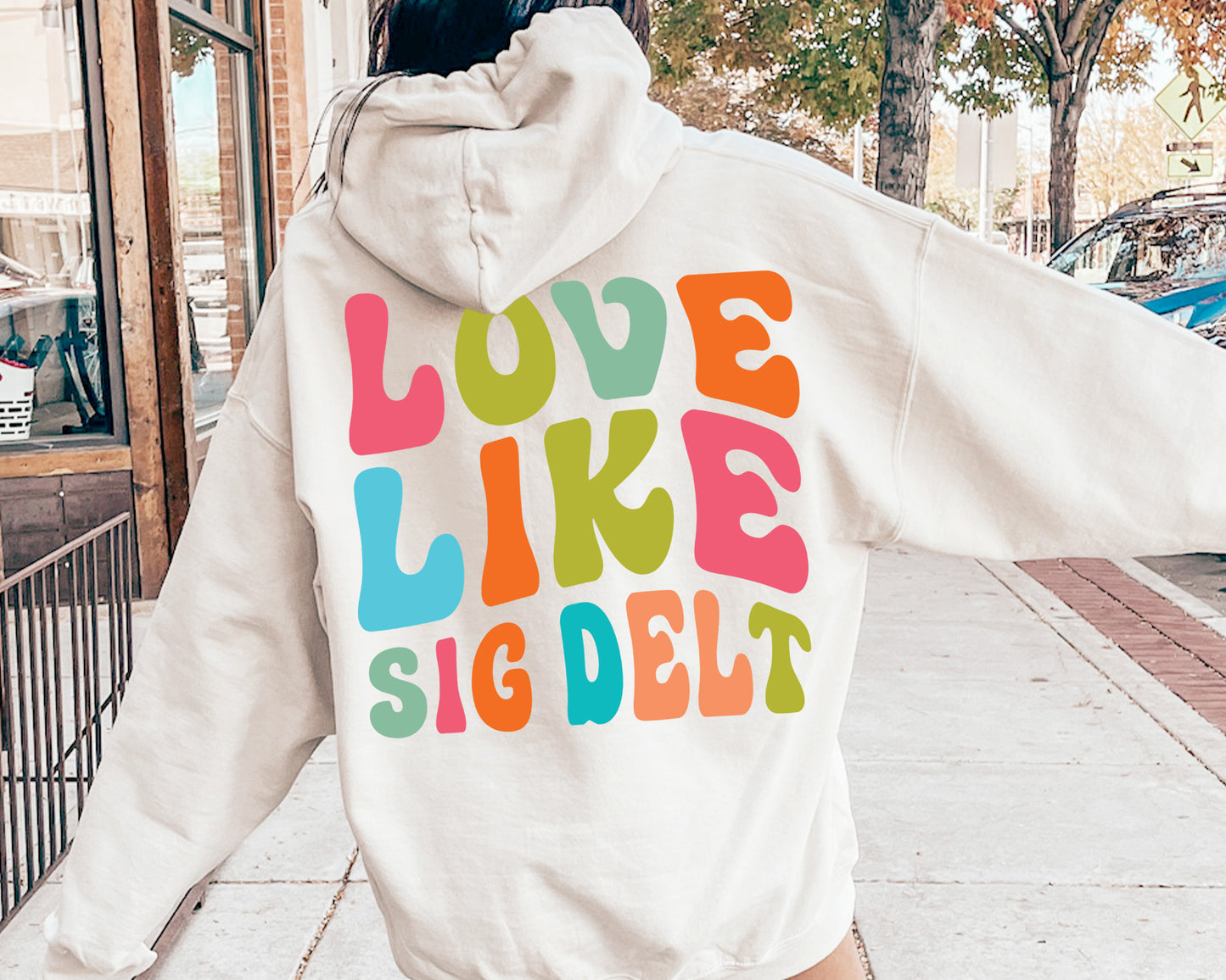 Sigma Delta Tau Blissful and Vibrant Sorority Hoodie _ 33175g