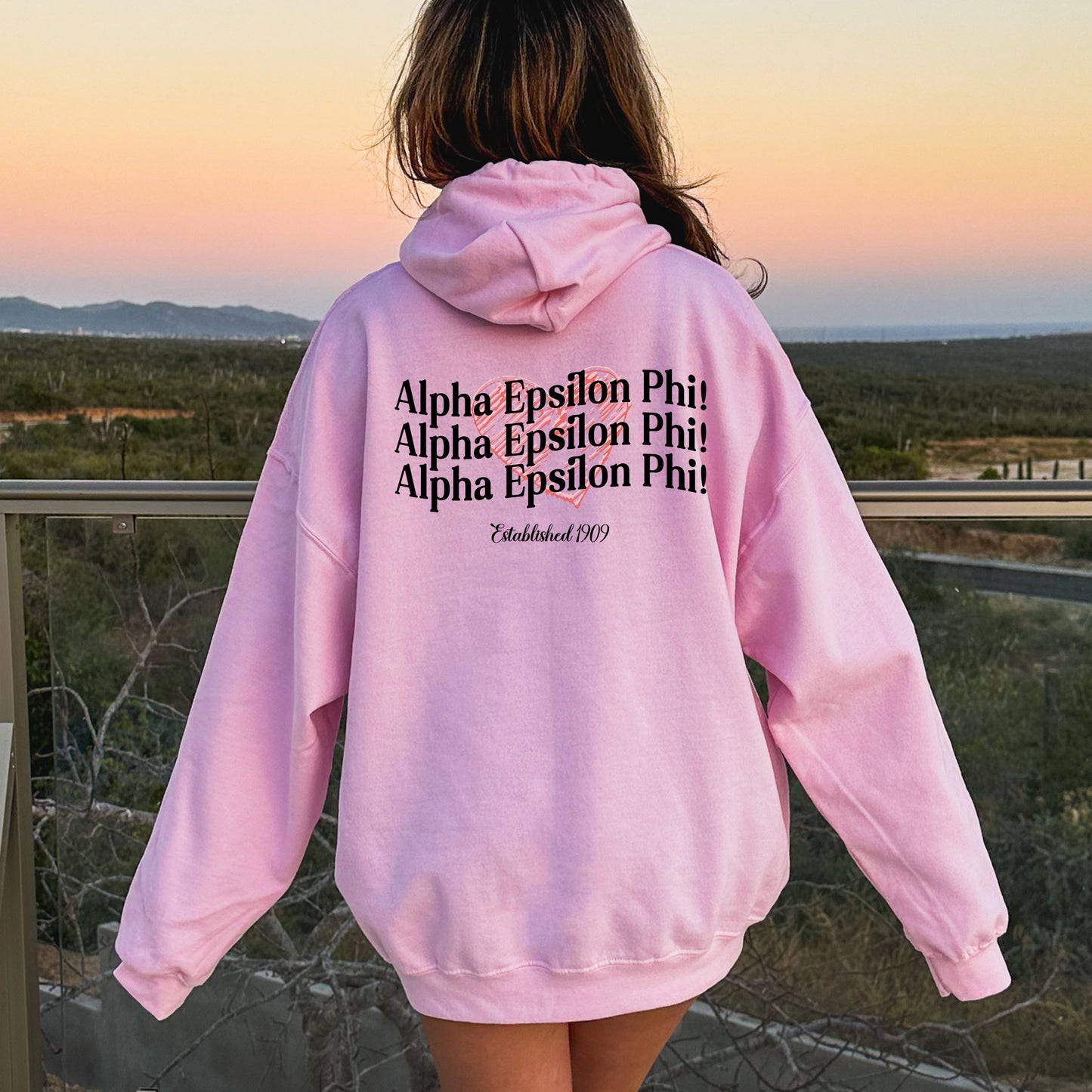 a woman in a pink hoodie looking out at the desert