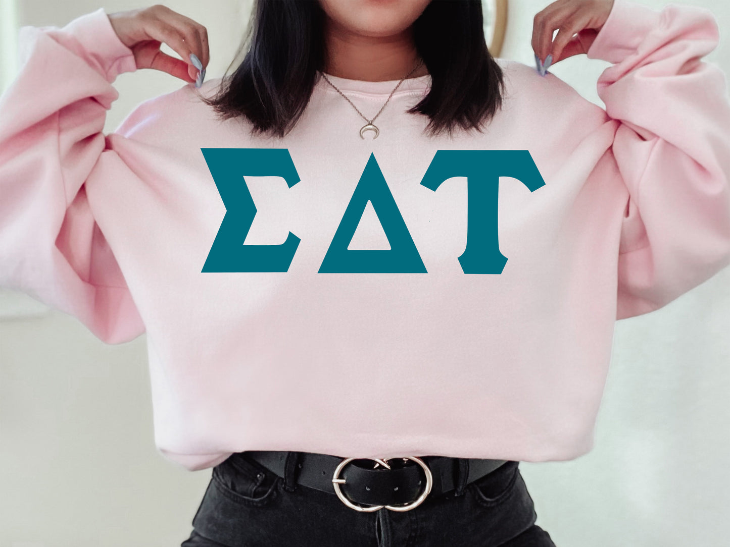 Sigma Delta Tau Back to the Basics Sorority Sweatshirt _ 643g