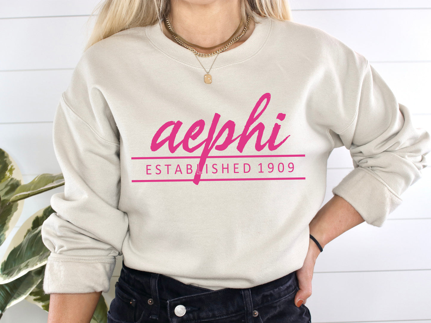 Alpha Epsilon Phi All Pink Sorority Sweatshirt _ 754g
