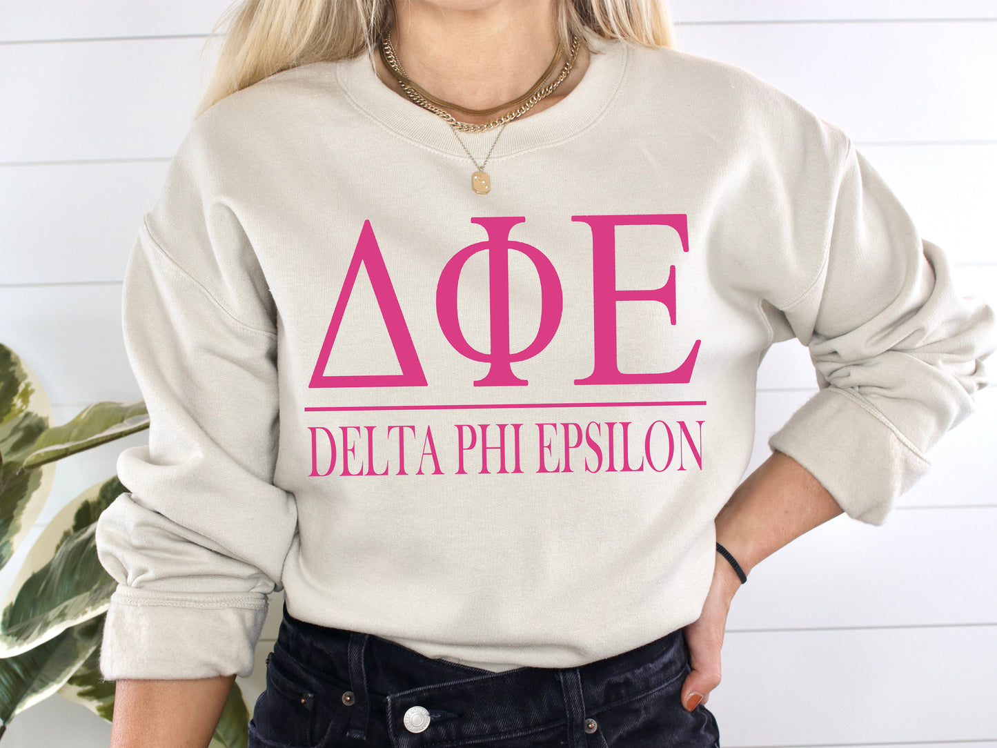 Delta Phi Epsilon Loud Letters Sorority Sweatshirt _ 478g