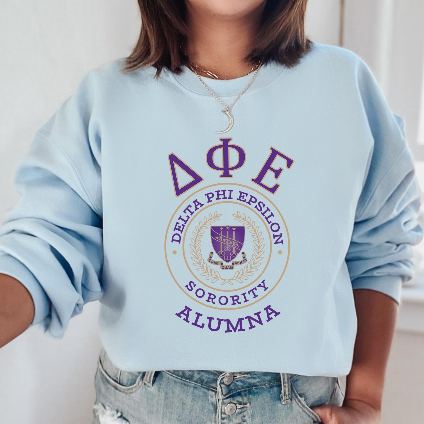 Delta Phi Epsilon Alumna Vintage Sorority Sweatshirt _ 31021g