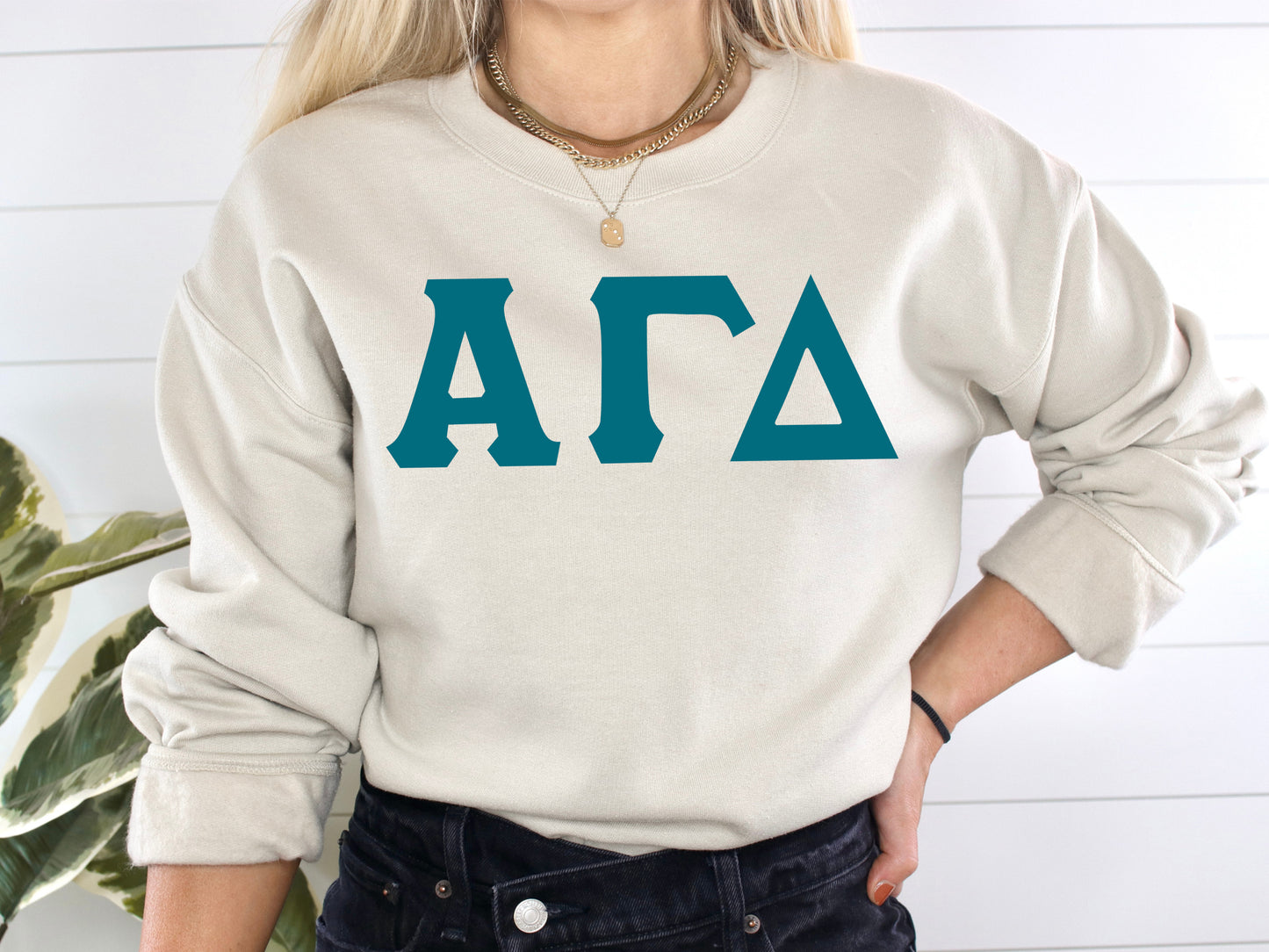 Alpha Gamma Delta Back to the Basics Sorority Sweatshirt _ 625g
