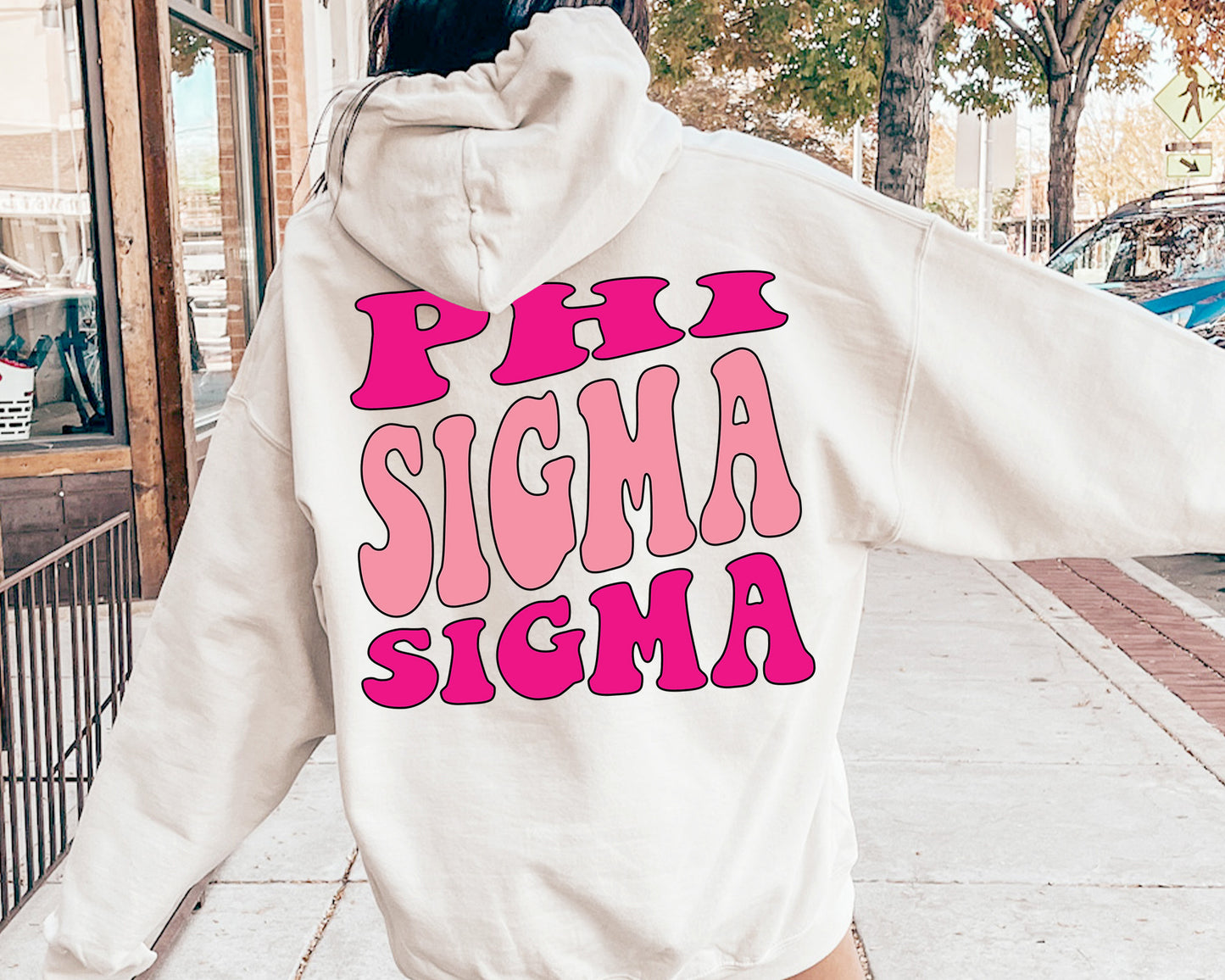 Phi Sigma Sigma Shades of Pink Sorority Hoodie _ 32991g