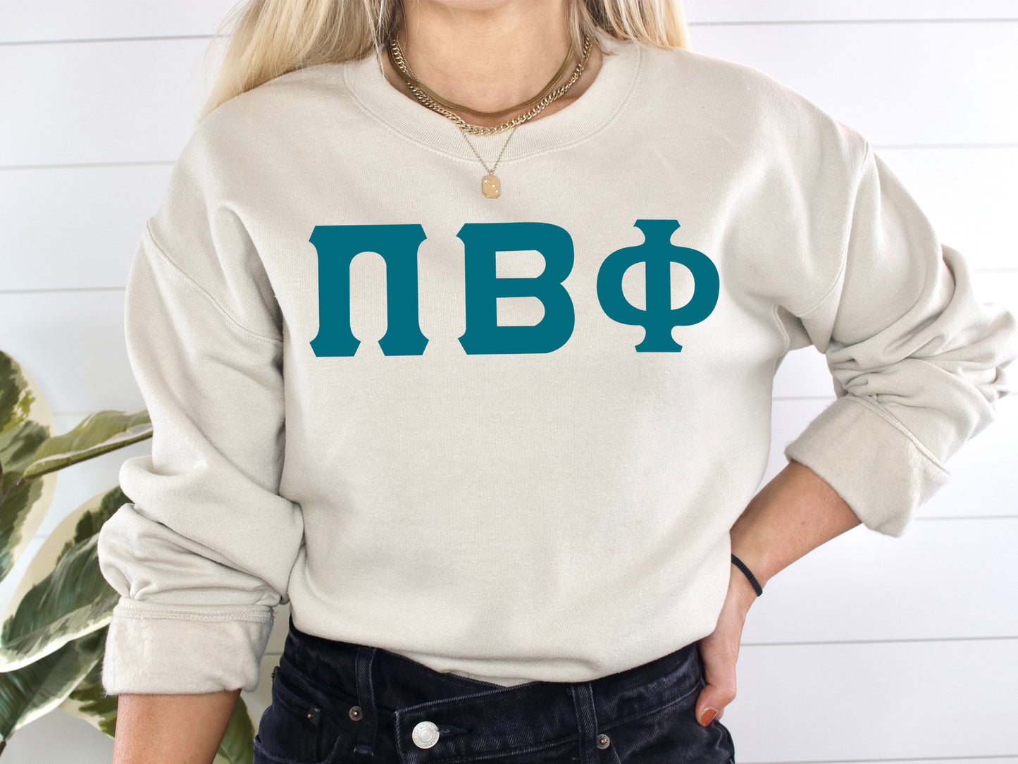 Pi Beta Phi Back to the Basics Sorority Sweatshirt _ 342g