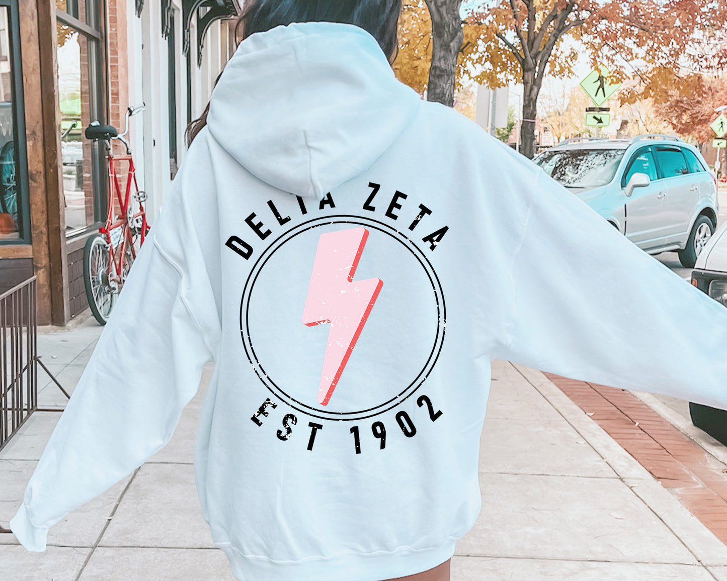 Delta Zeta Pinkish Strike Sorority Hoodie _ 33115g