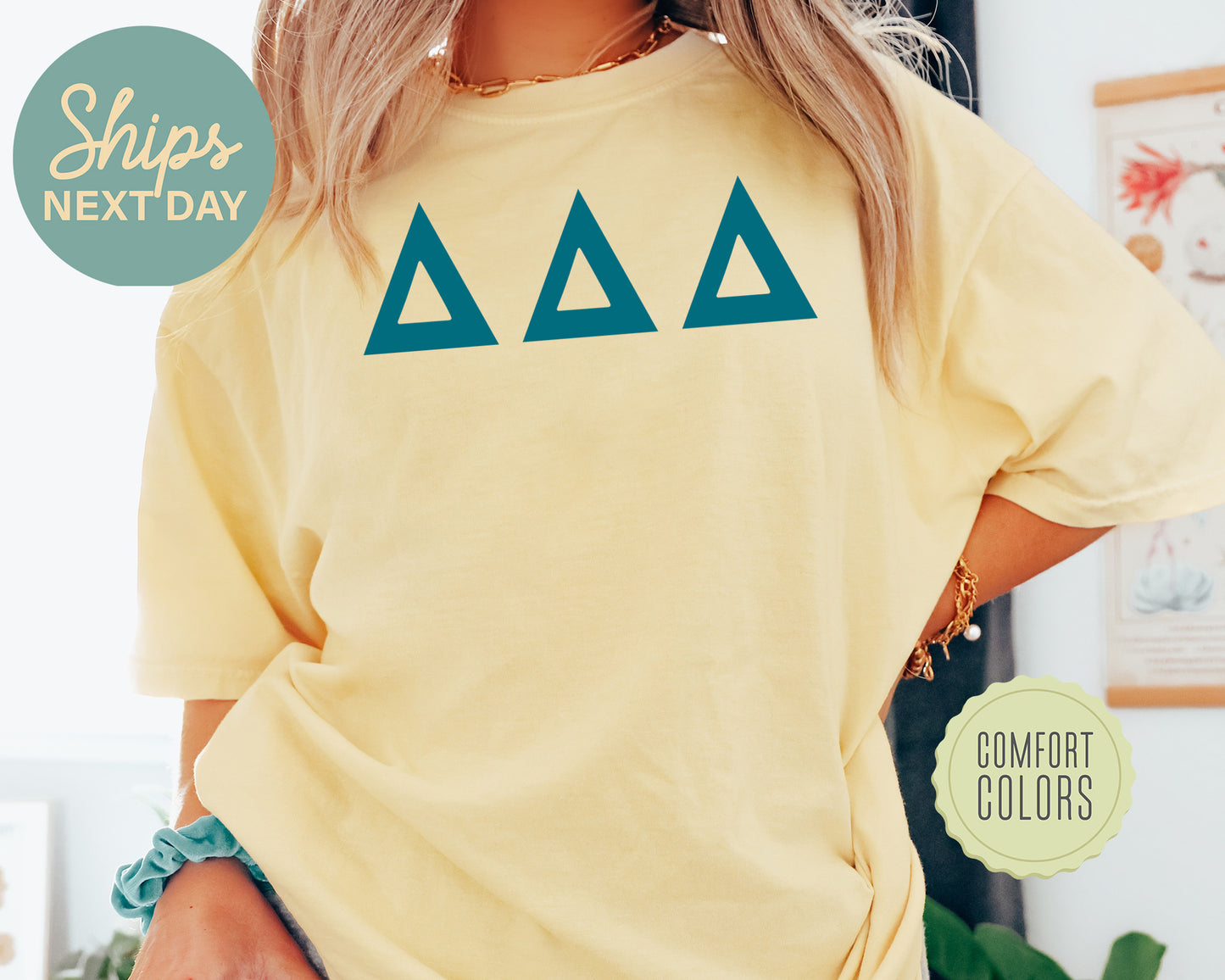 Delta Delta Delta Back to the Basics Comfort Colors Sorority T-shirt _ 632g