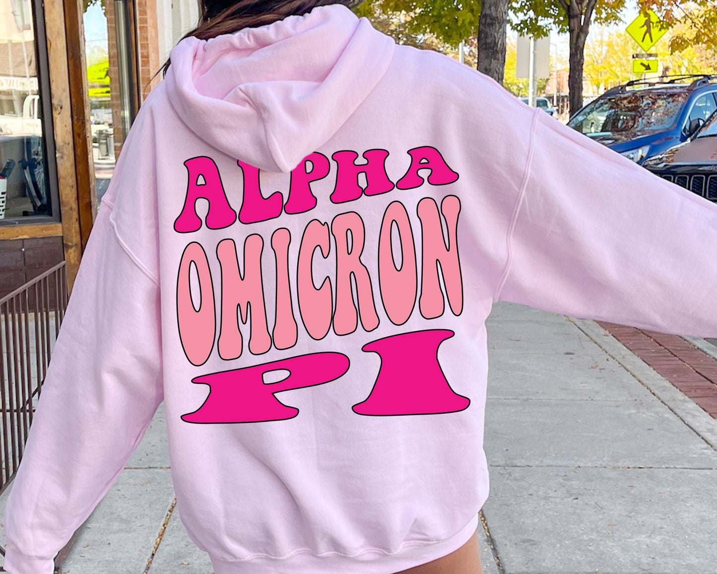 Alpha Omicron Pi Shades of Pink Sorority Hoodie _ 32976g