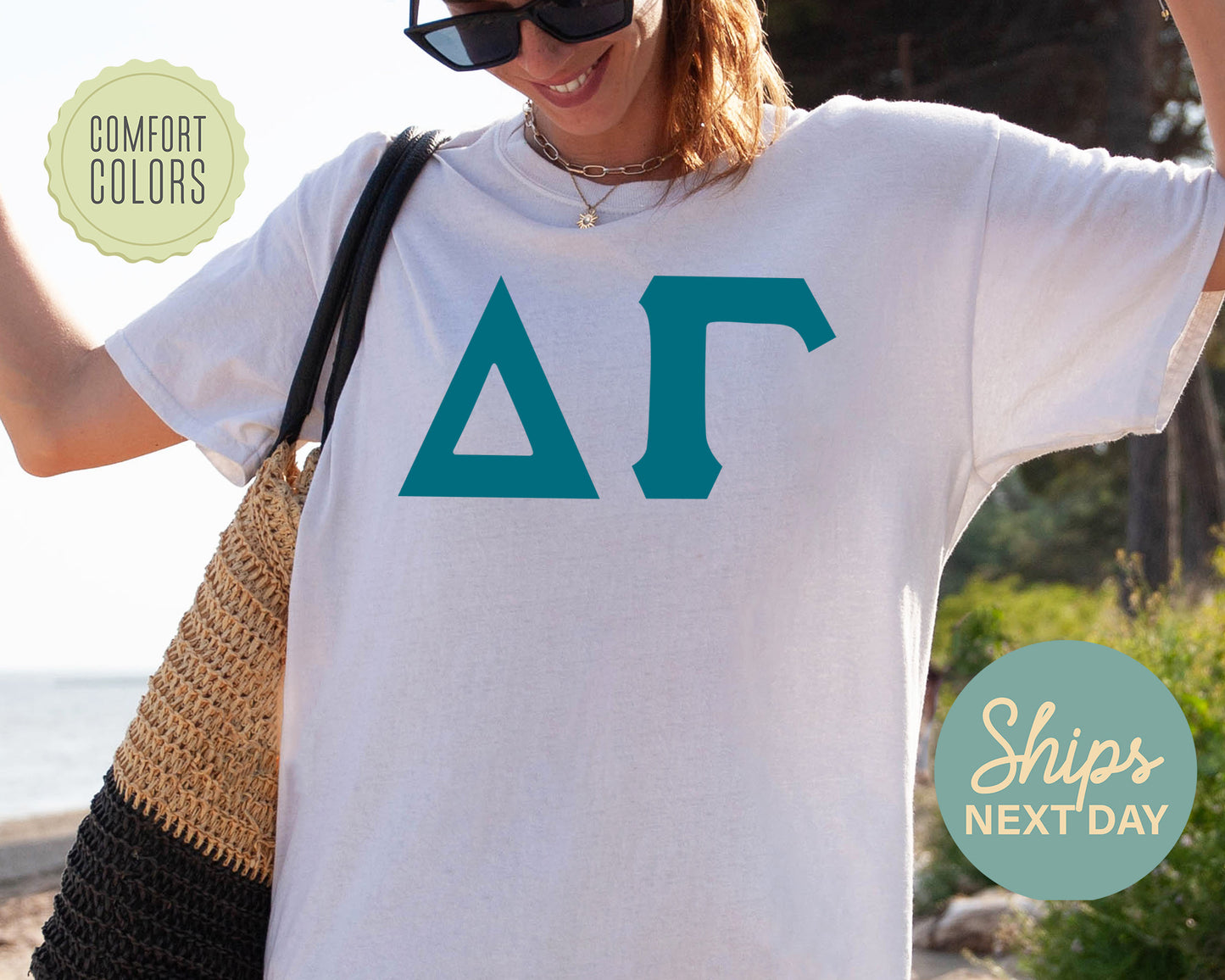 Delta Gamma Back to the Basics Comfort Colors Sorority T-shirt _ 633g