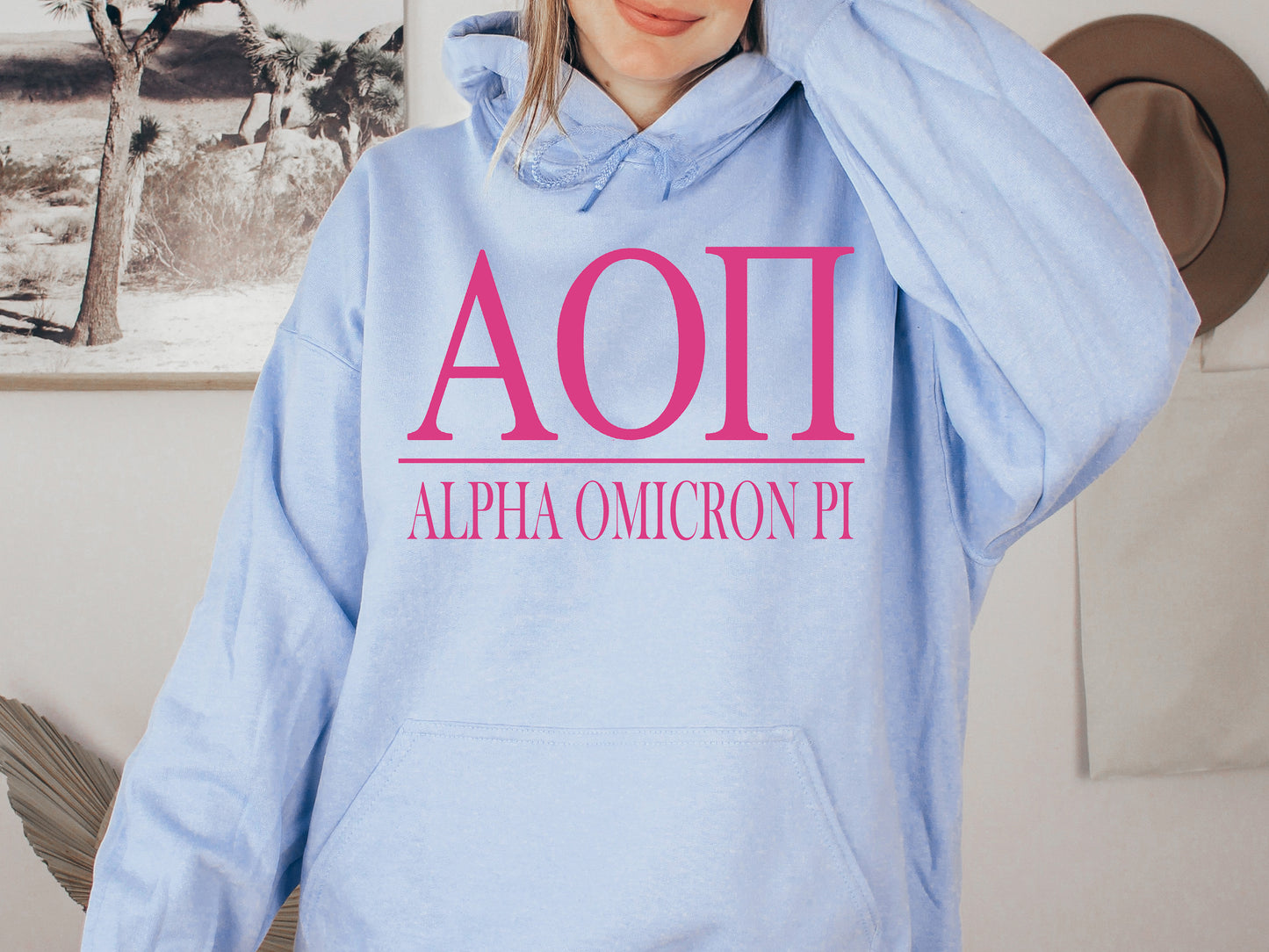 Alpha Omicron Pi Loud Letters Sorority Hoodie _ 470g