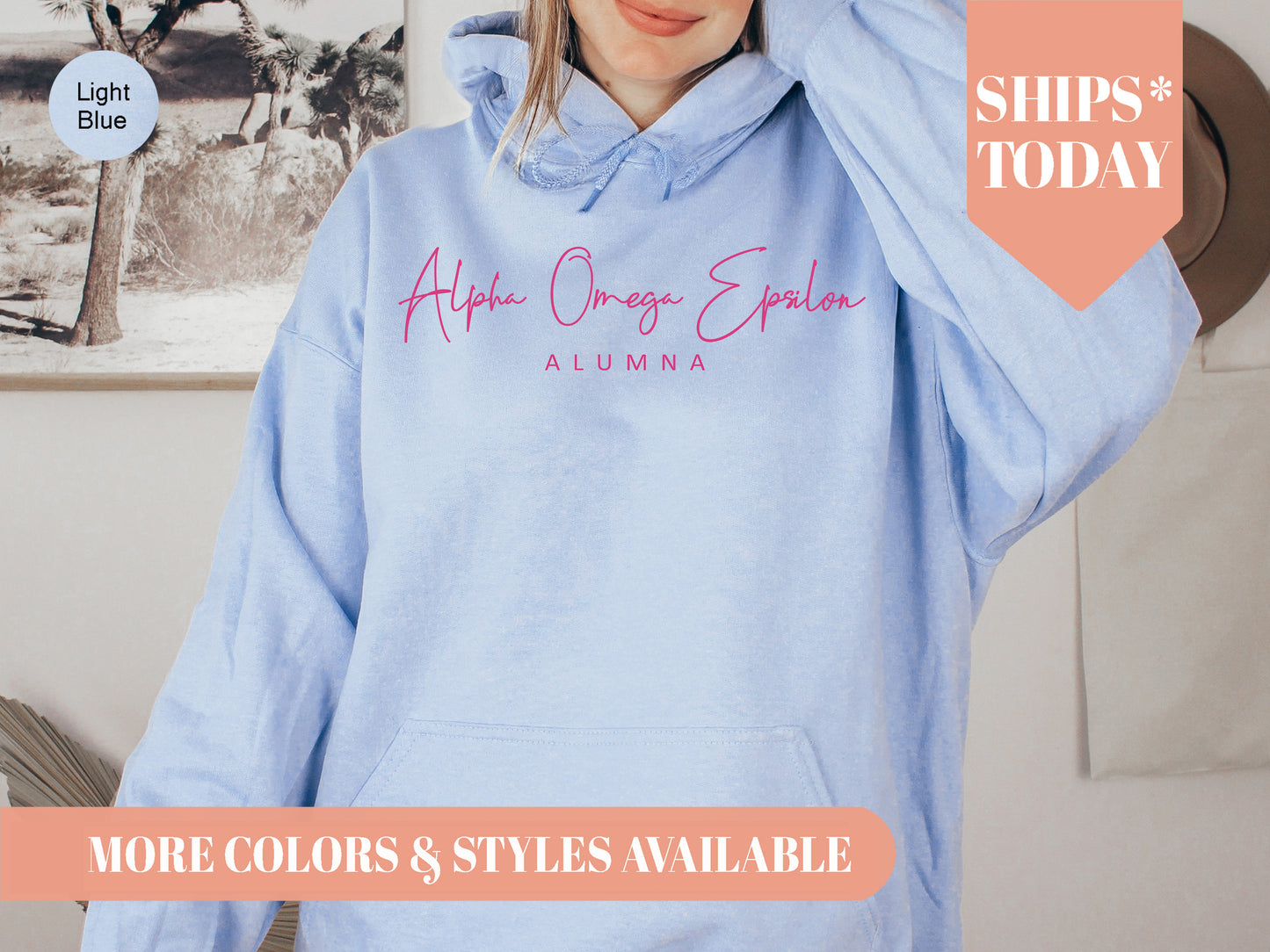 Alpha Omega Epsilon Vintage Alumna Sorority Hoodie _ 3496g