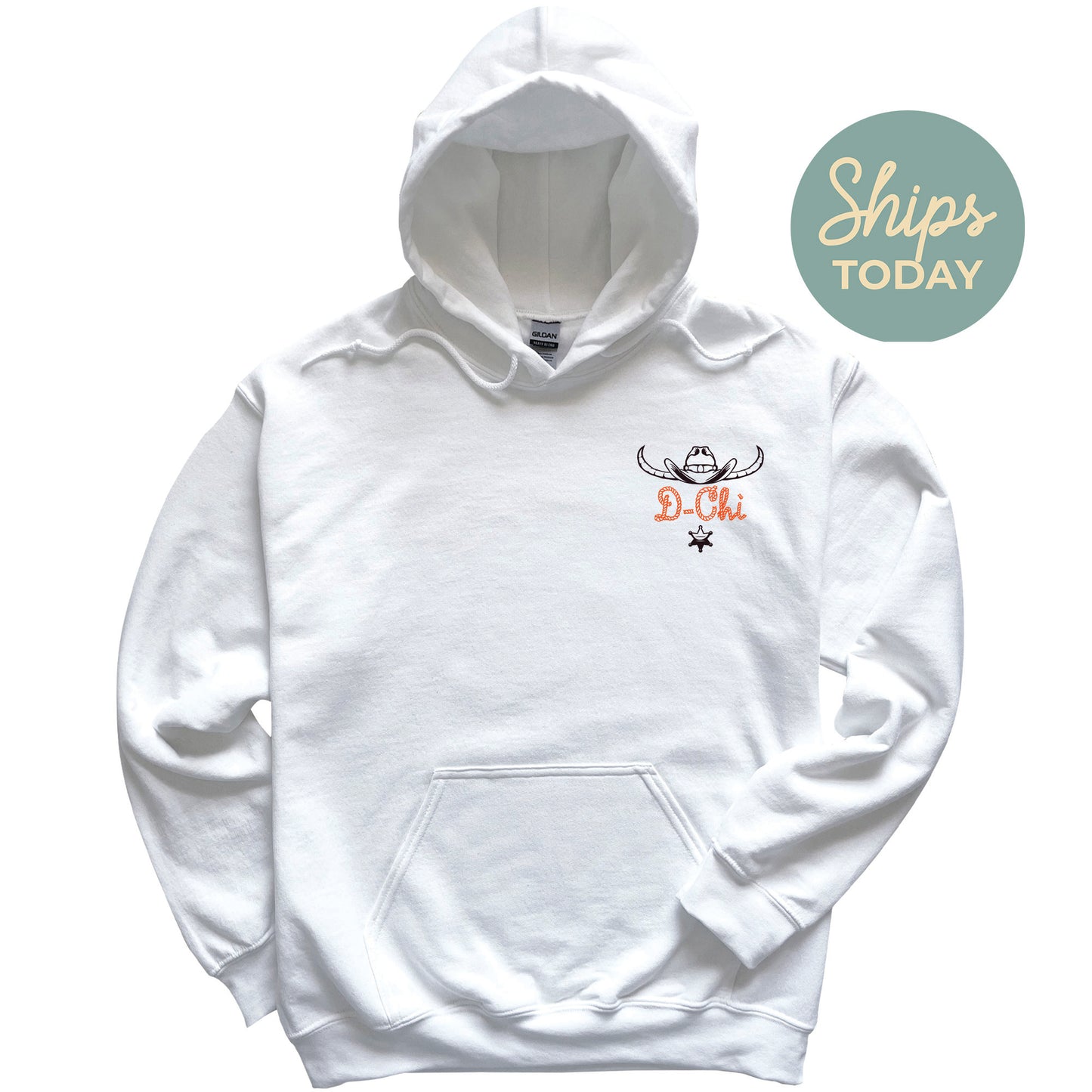 Delta Chi Cowboy Fraternity Hoodie _ 31186g