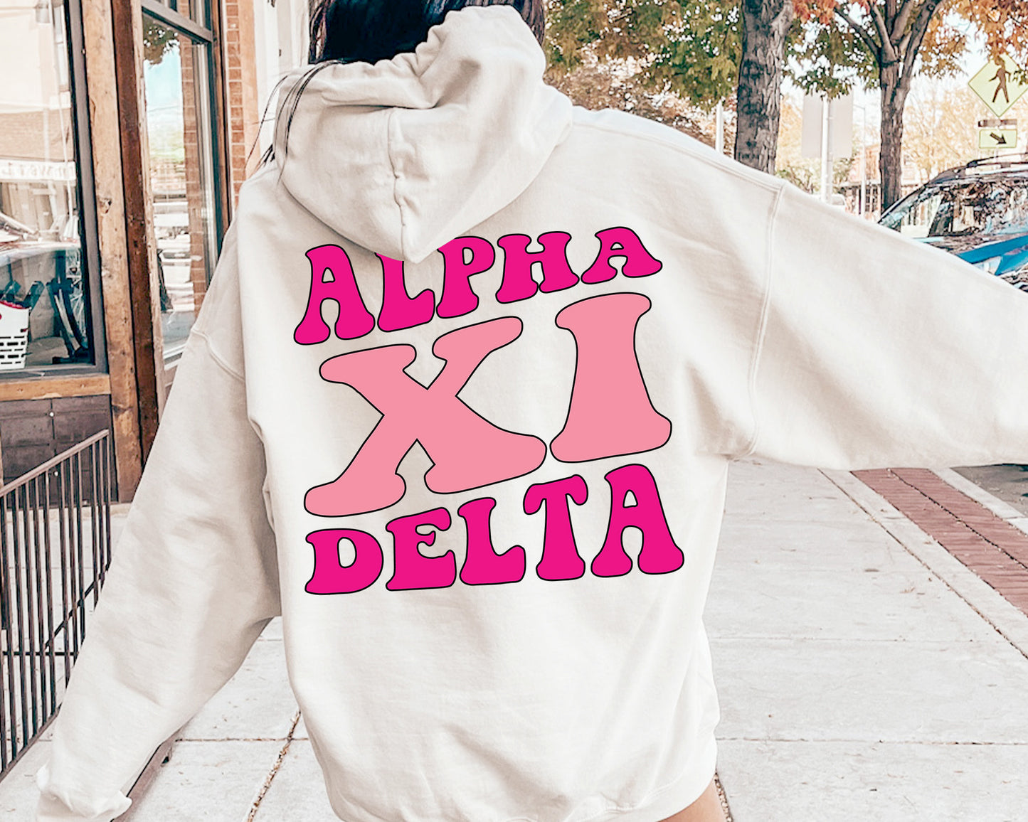 Alpha Xi Delta Shades of Pink Sorority Hoodie _ 32980g