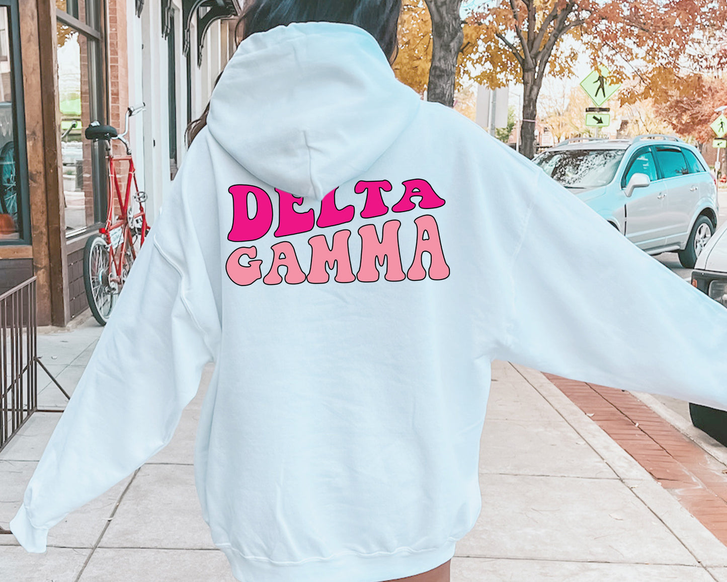 Delta Gamma Shades of Pink Sorority Hoodie _ 32983g