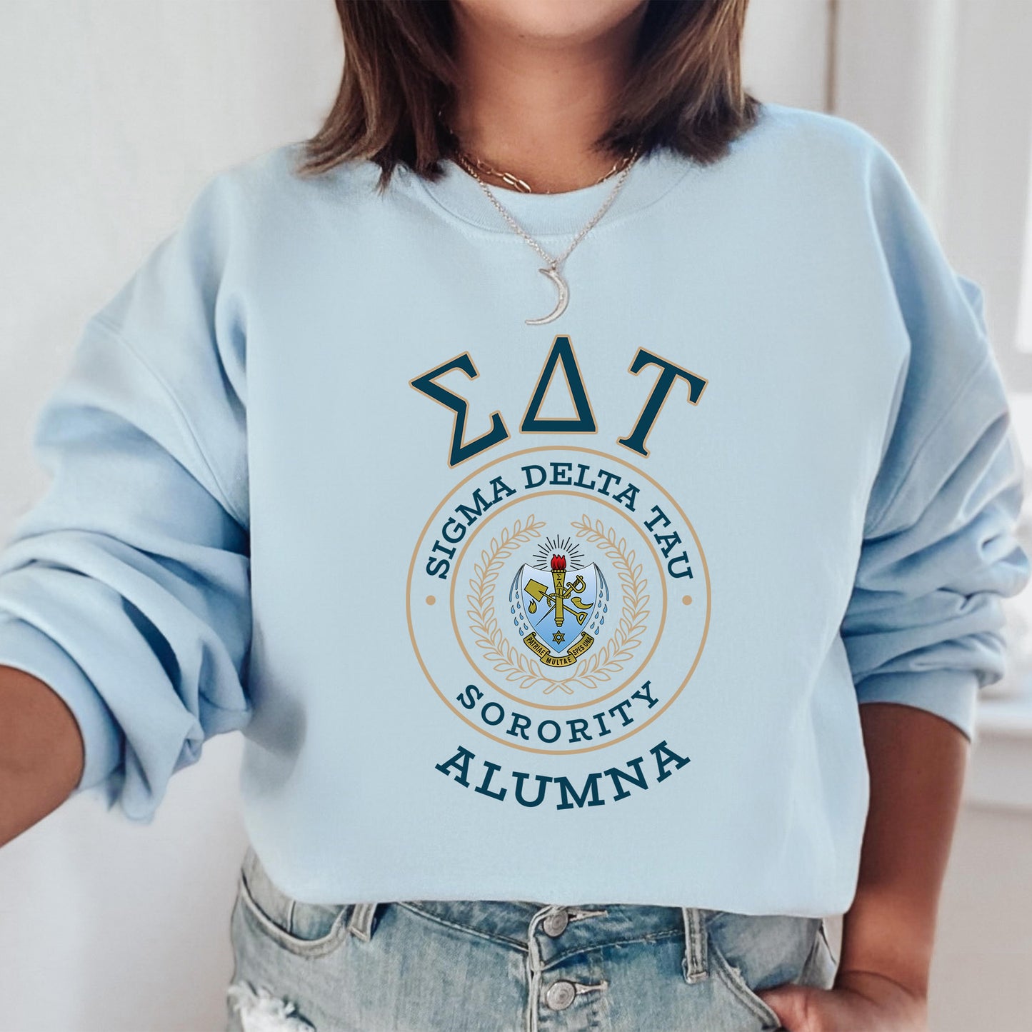 Sigma Delta Tau Alumna Vintage Sorority Sweatshirt _ 31030g