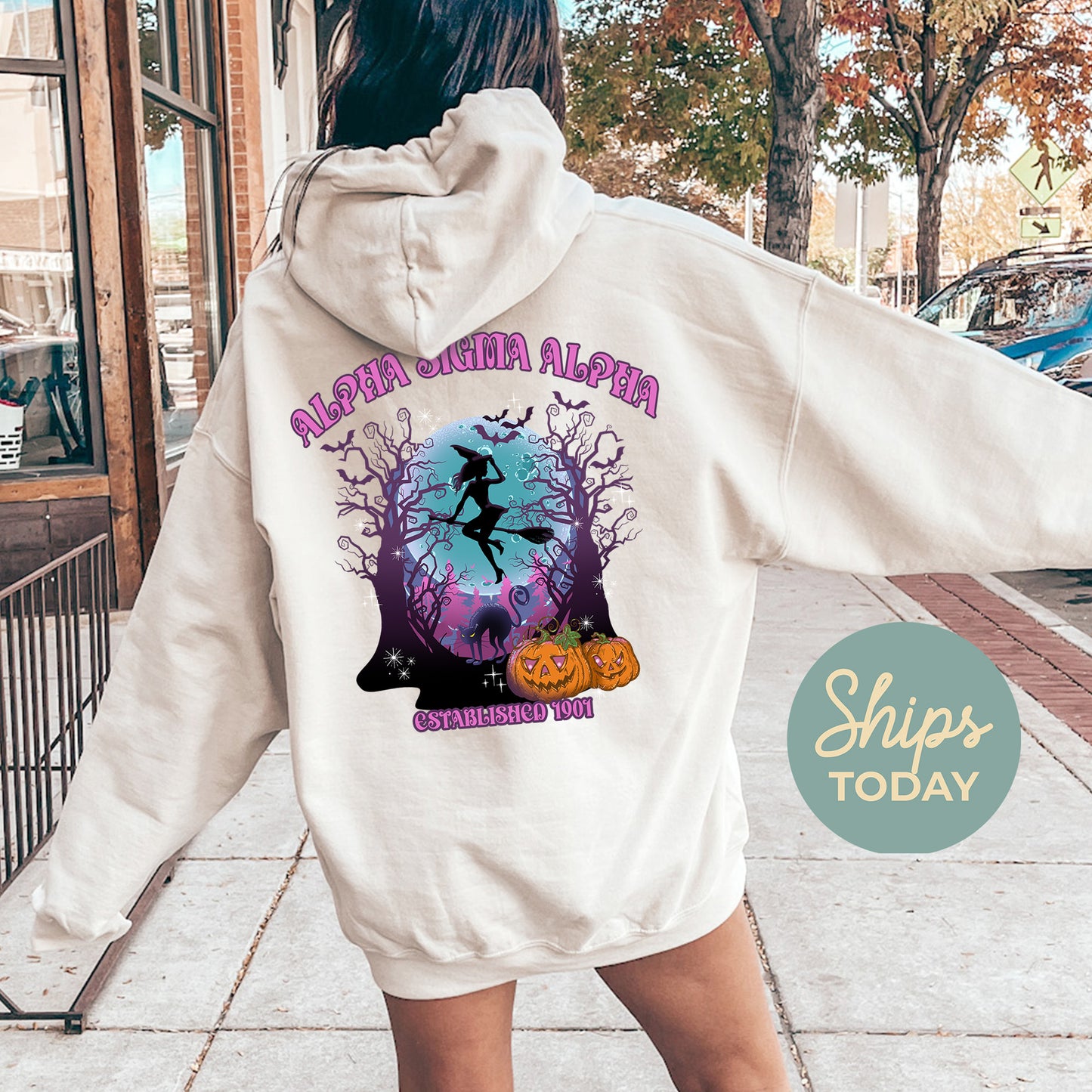 Alpha Sigma Alpha Halloween Witch Sorority Hoodie _ 36232g