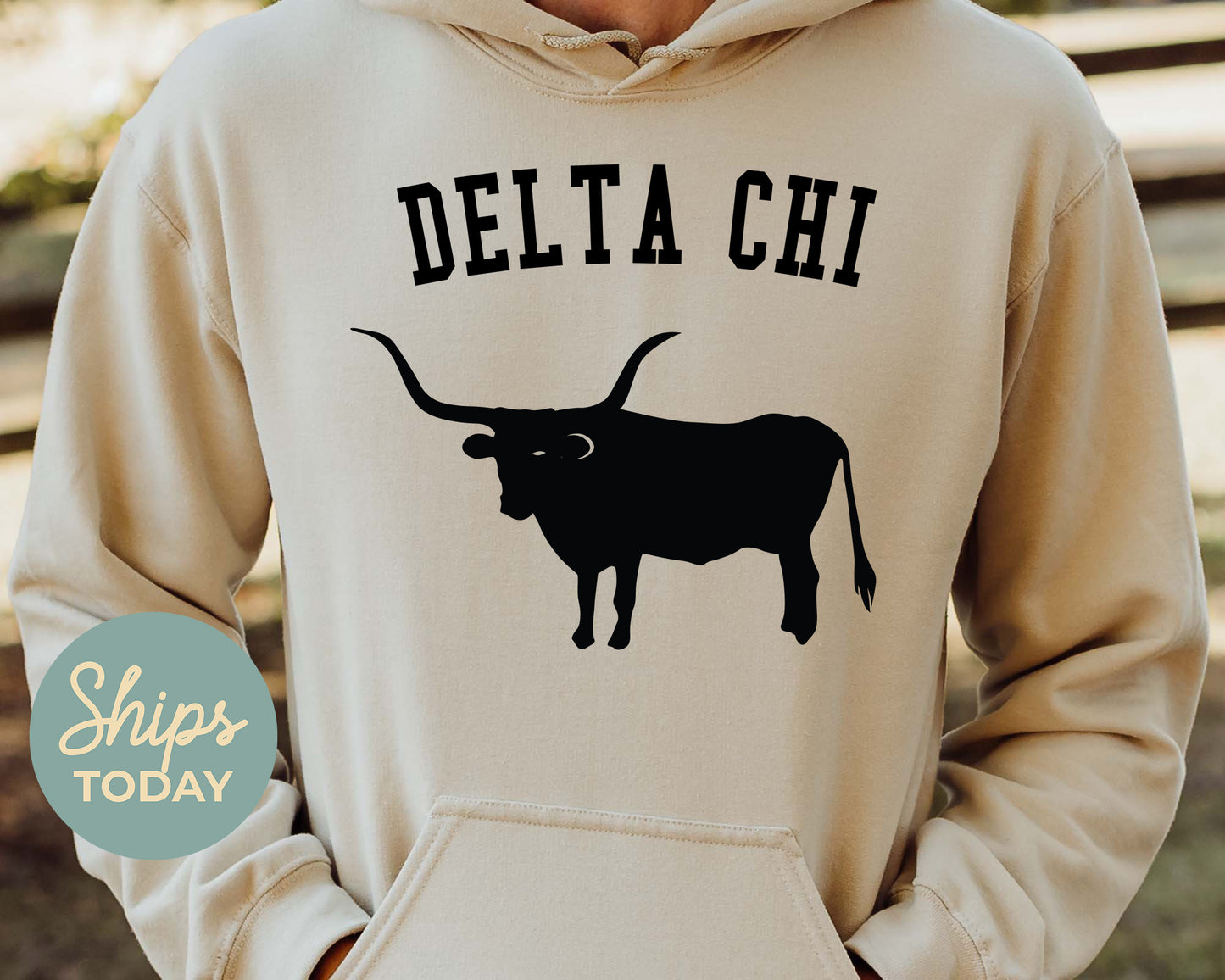 Delta Chi Long Horn Fraternity Hoodie _ 1530g