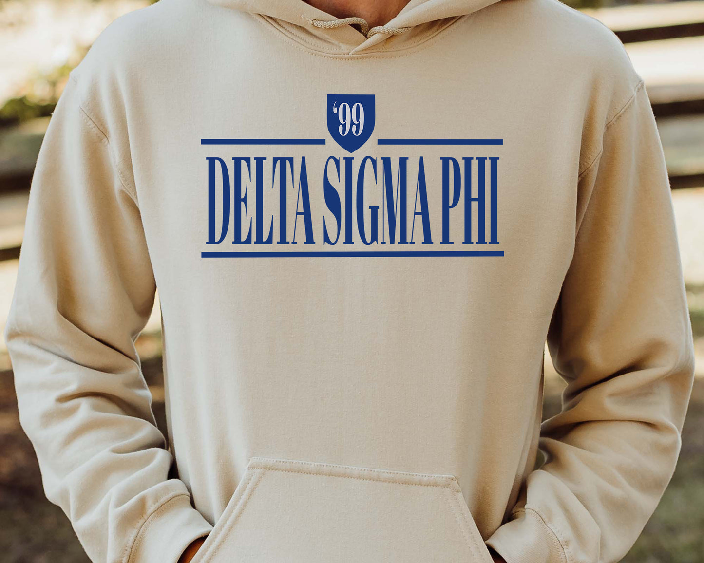 Delta Sigma Phi Shield Fraternity Hoodie _ 1190g